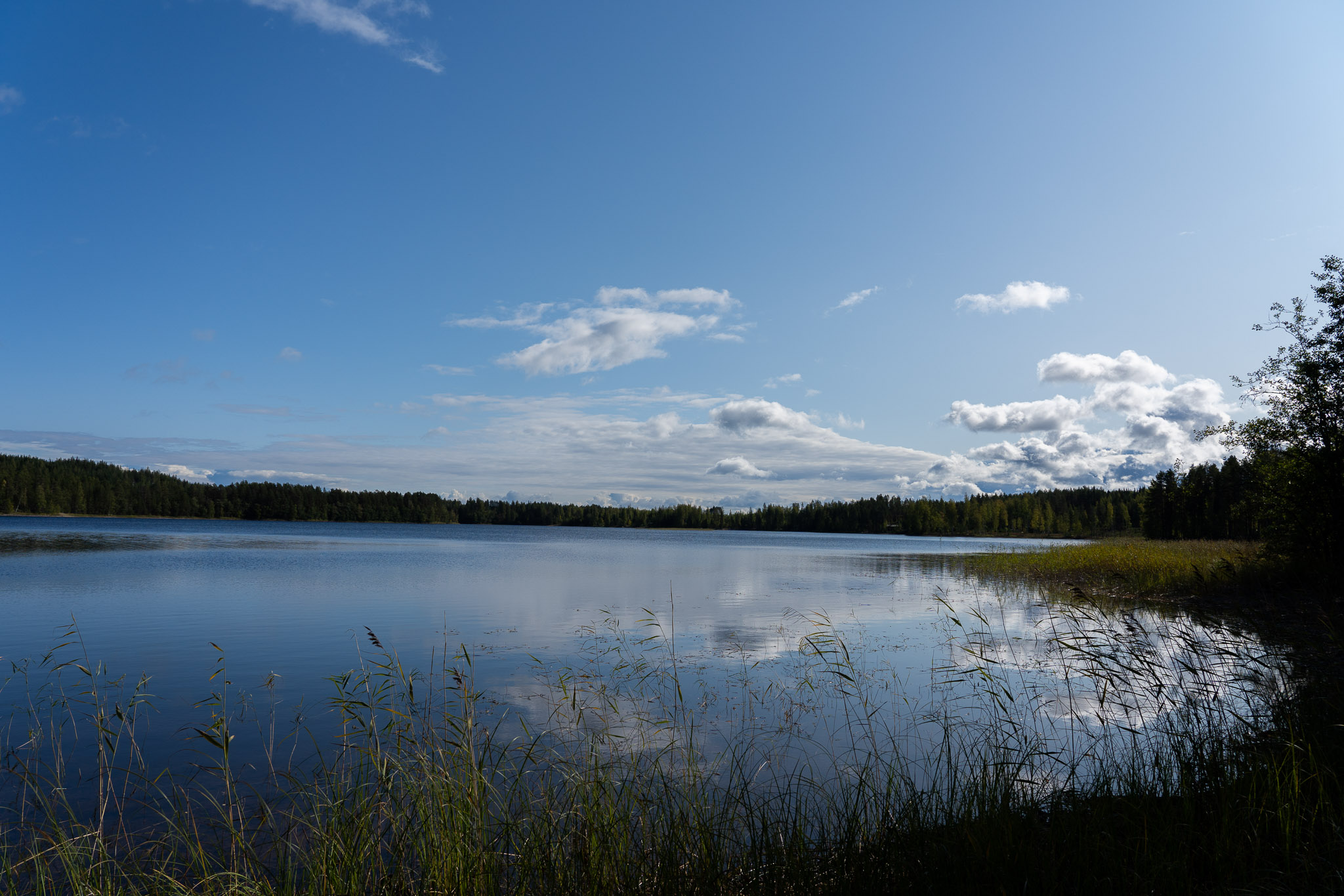 blauer Himmel (dennoch arschkalt)