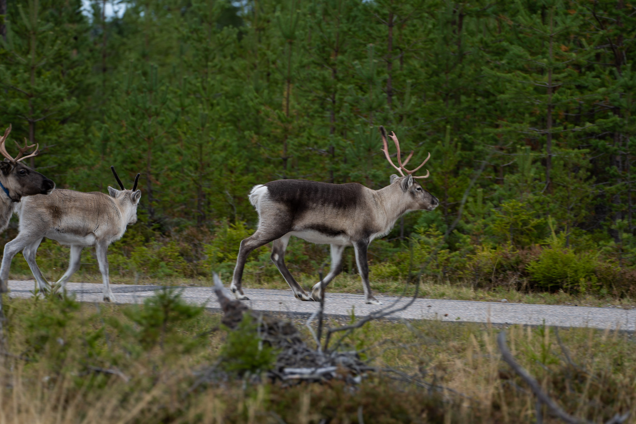 ab über die Strasse