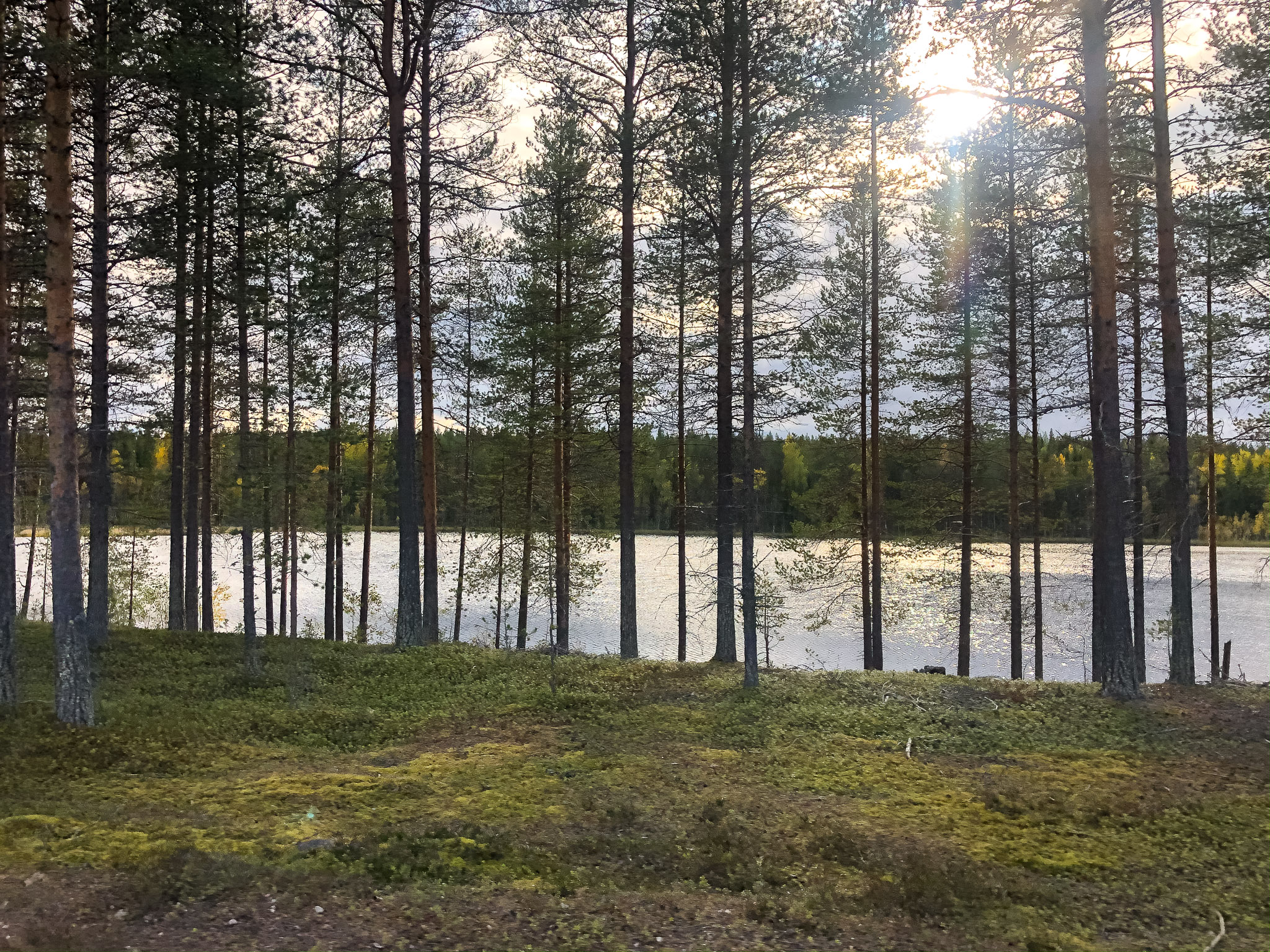 Schnappschuss bei voller Fahrt