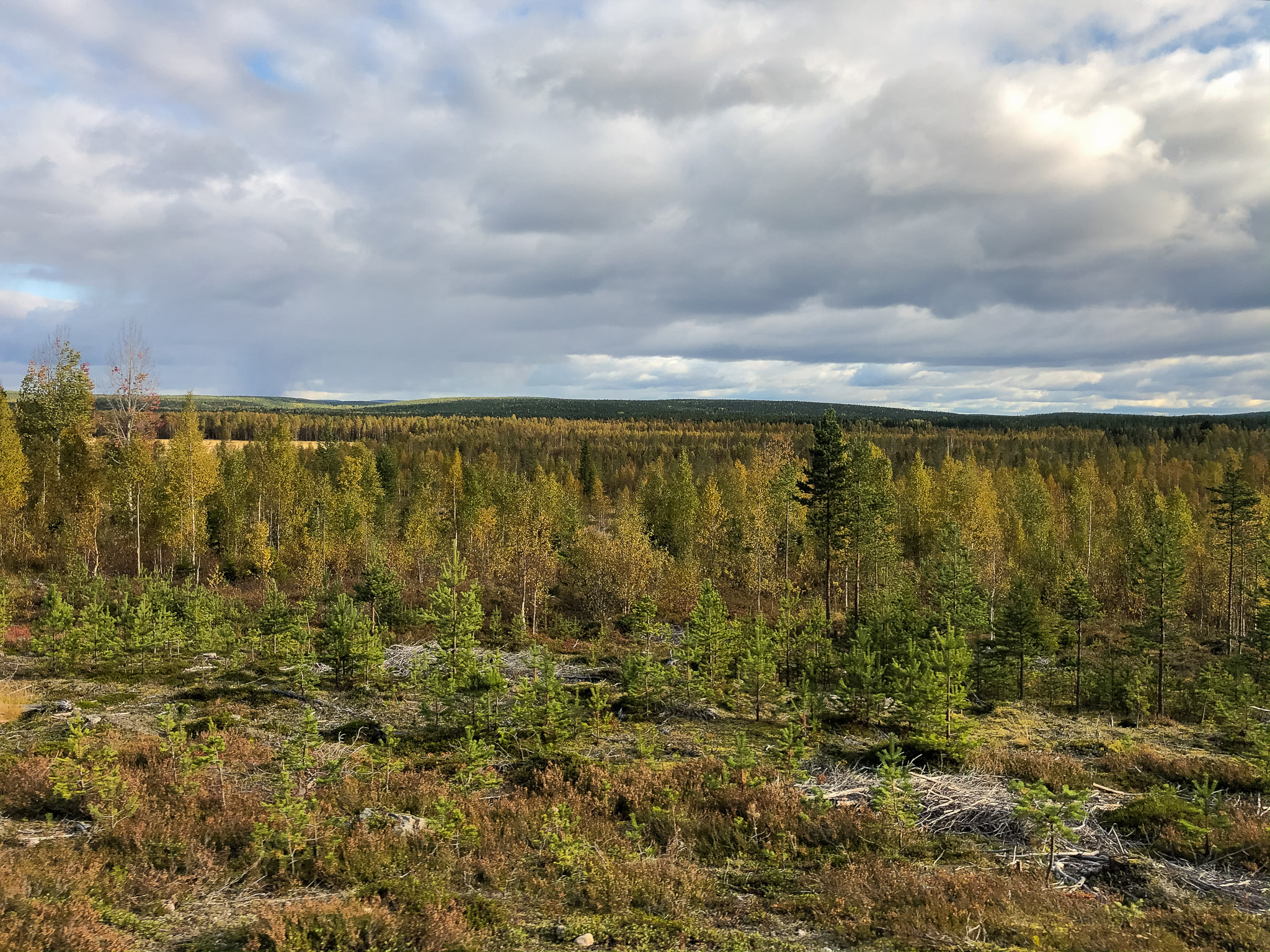 Schnappschuss bei voller Fahrt