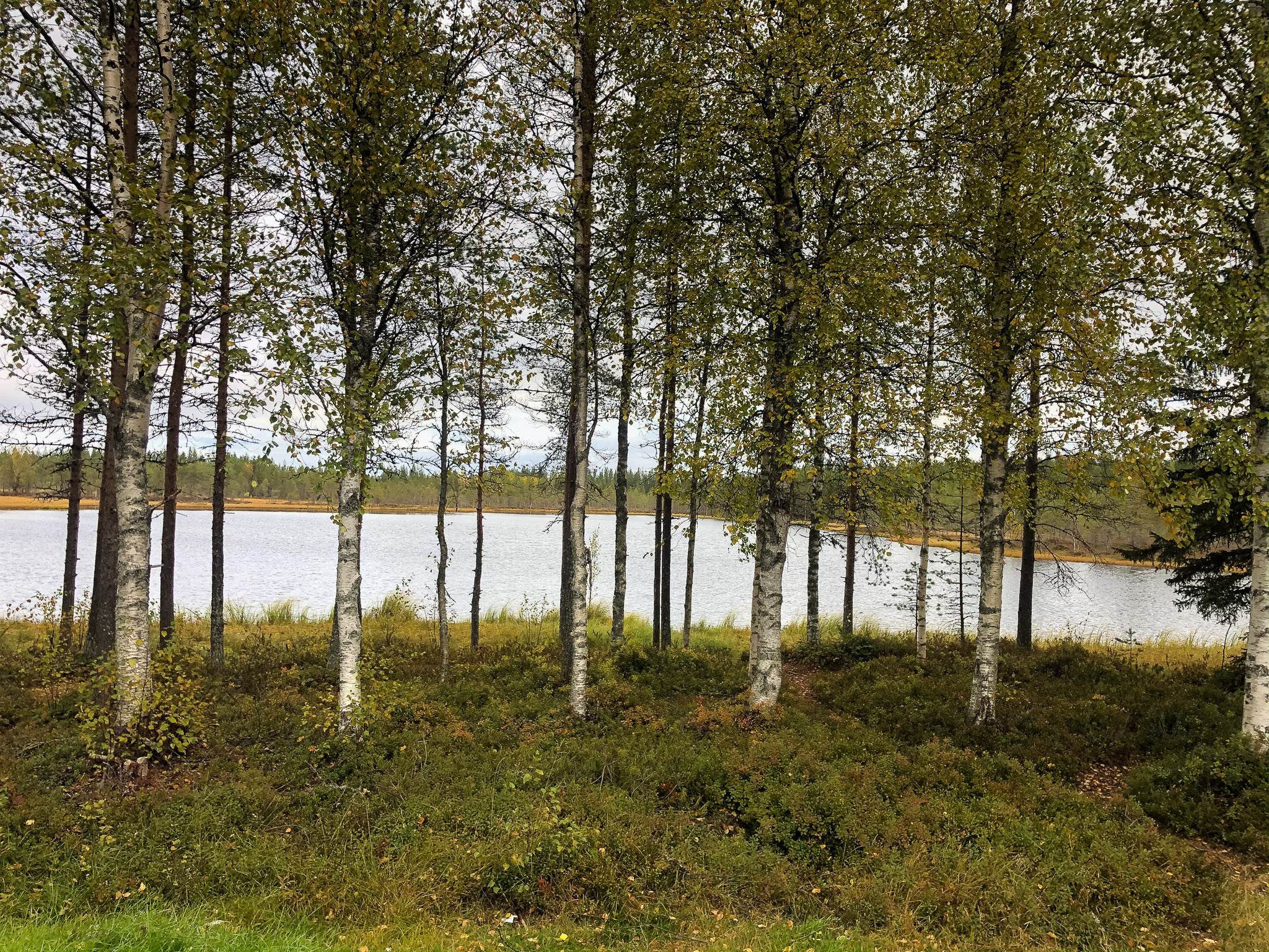 Schnappschuss bei voller Fahrt