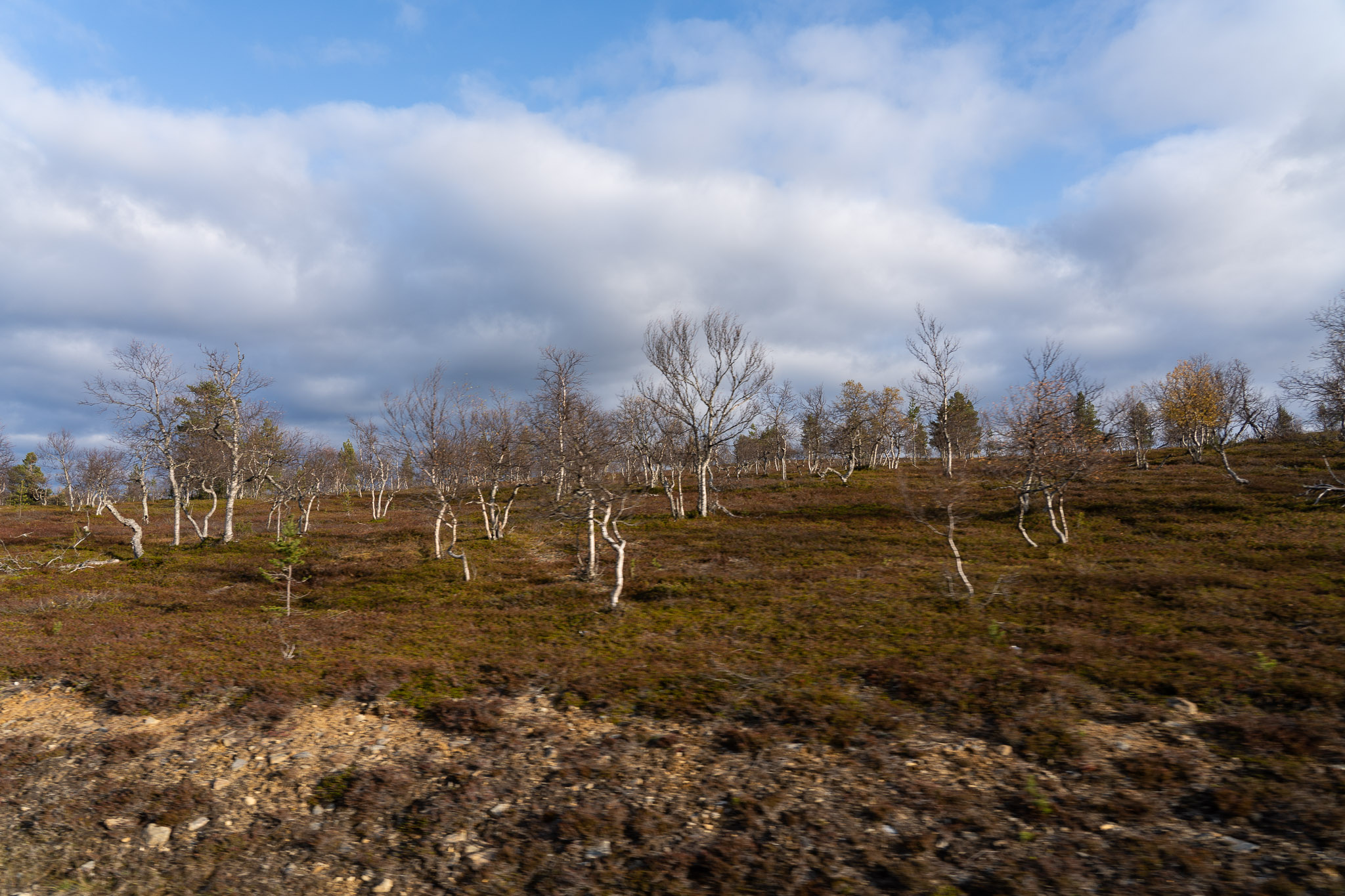 Schnappschuss auf dem Hügel (ausnahmsweise mehr als über 100 m über Meer)