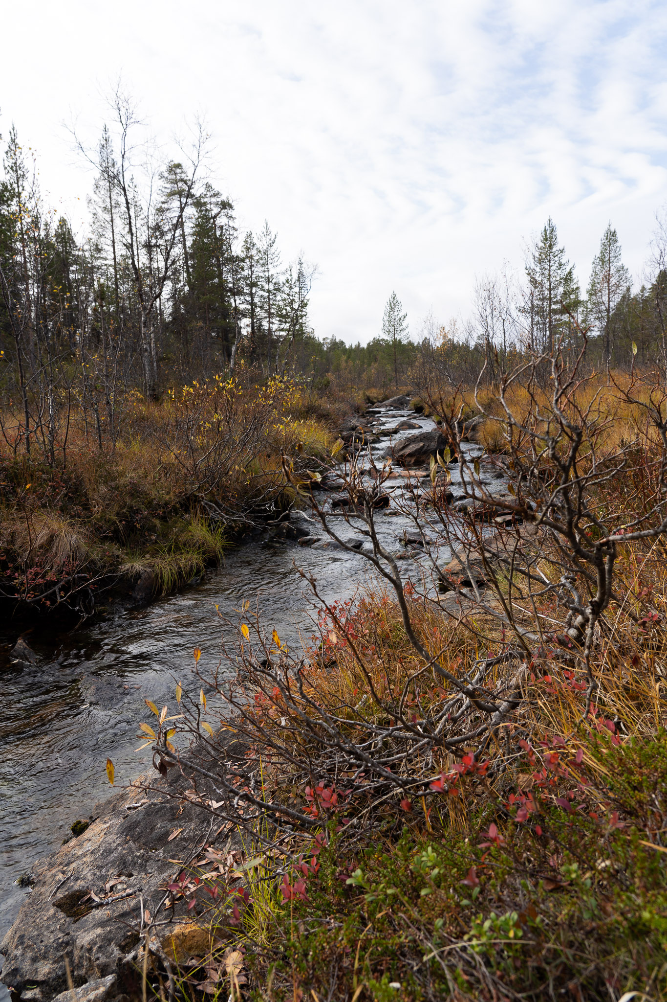 Eindrücke der Wanderung