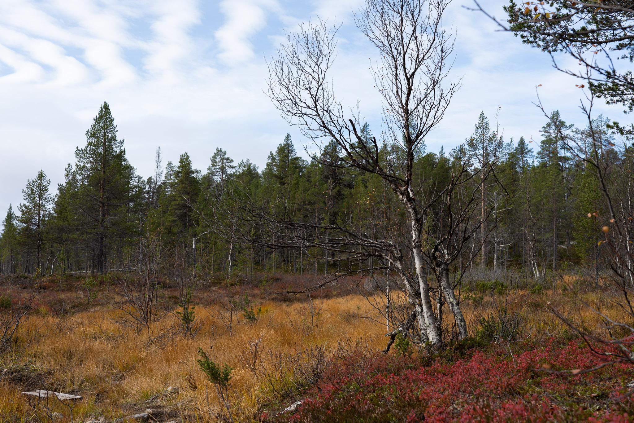 Eindrücke der Wanderung