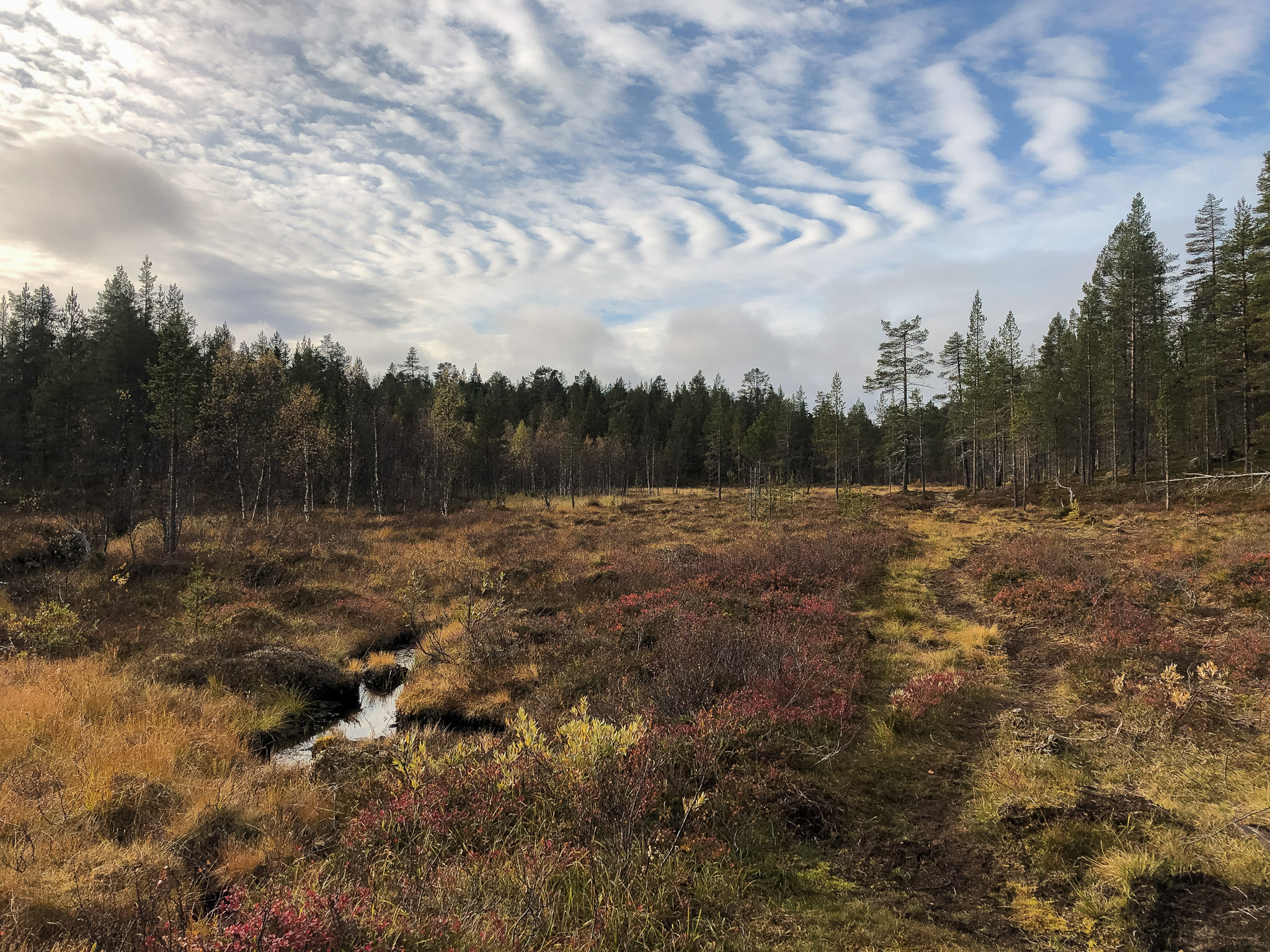 Eindrücke der Wanderung