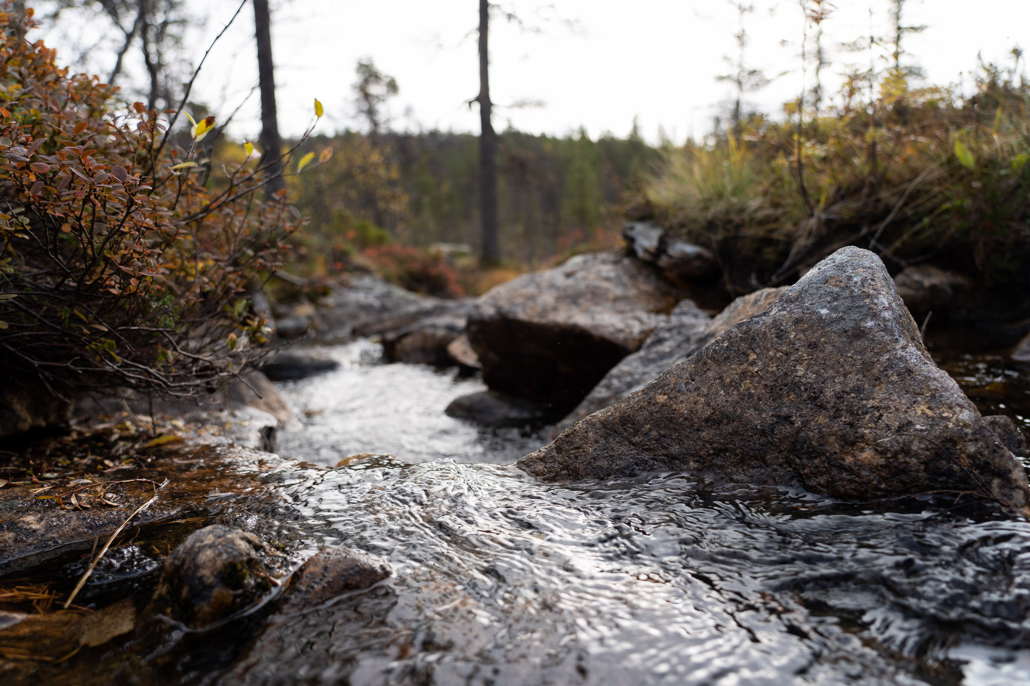 Eindrücke der Wanderung