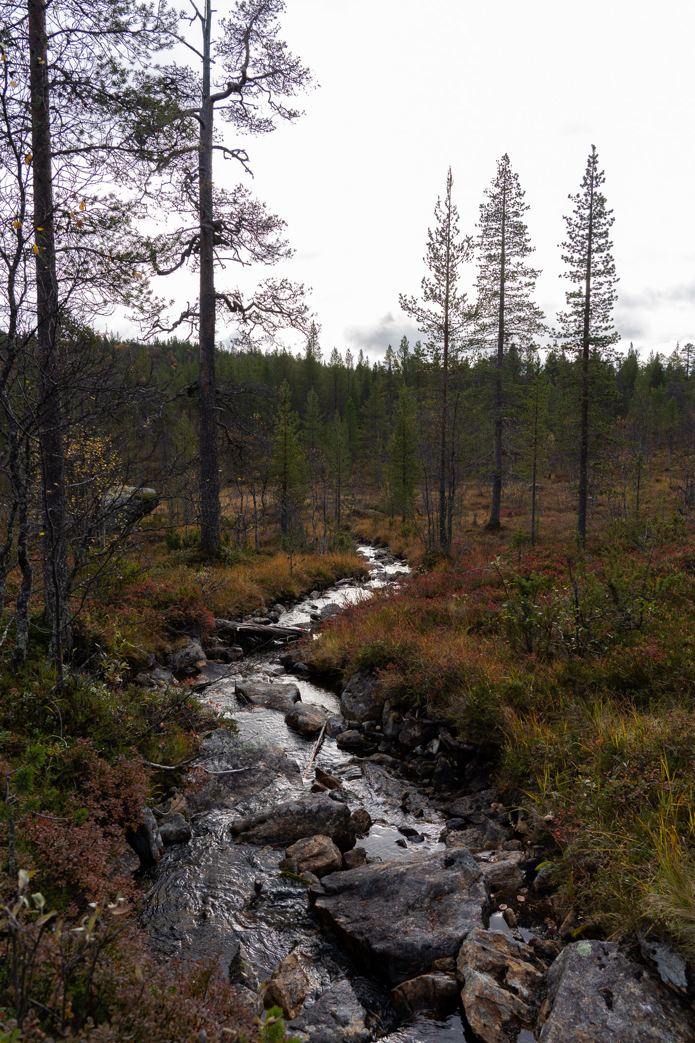 Eindrücke der Wanderung