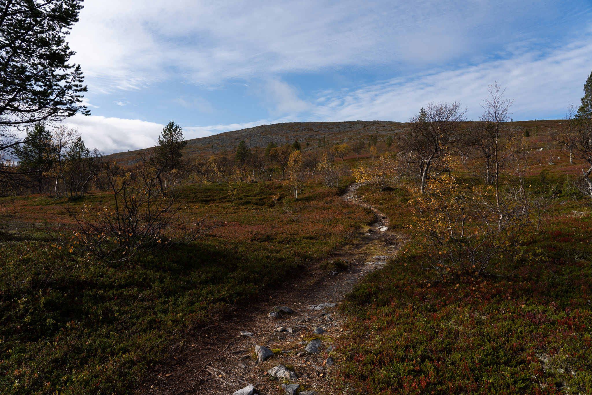 Bis nach ganz oben...