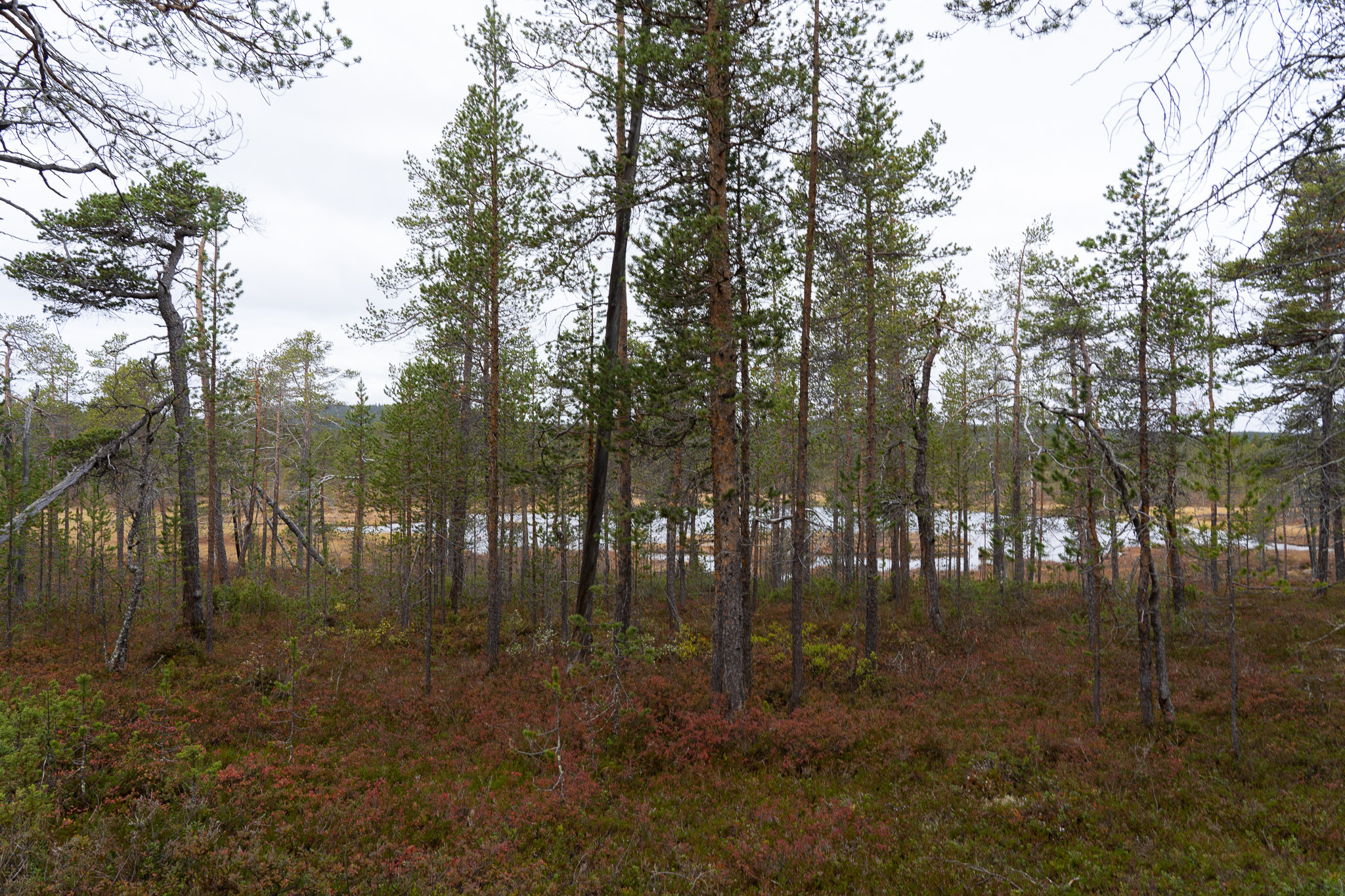 Eindrücke der Wanderung