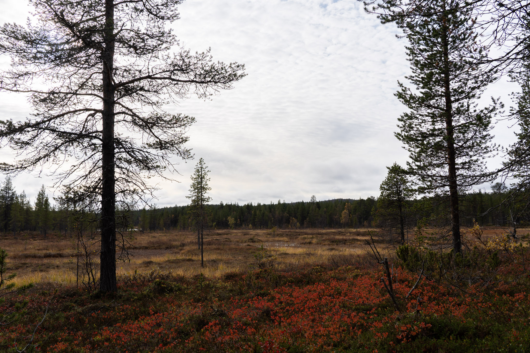 Eindrücke der Wanderung