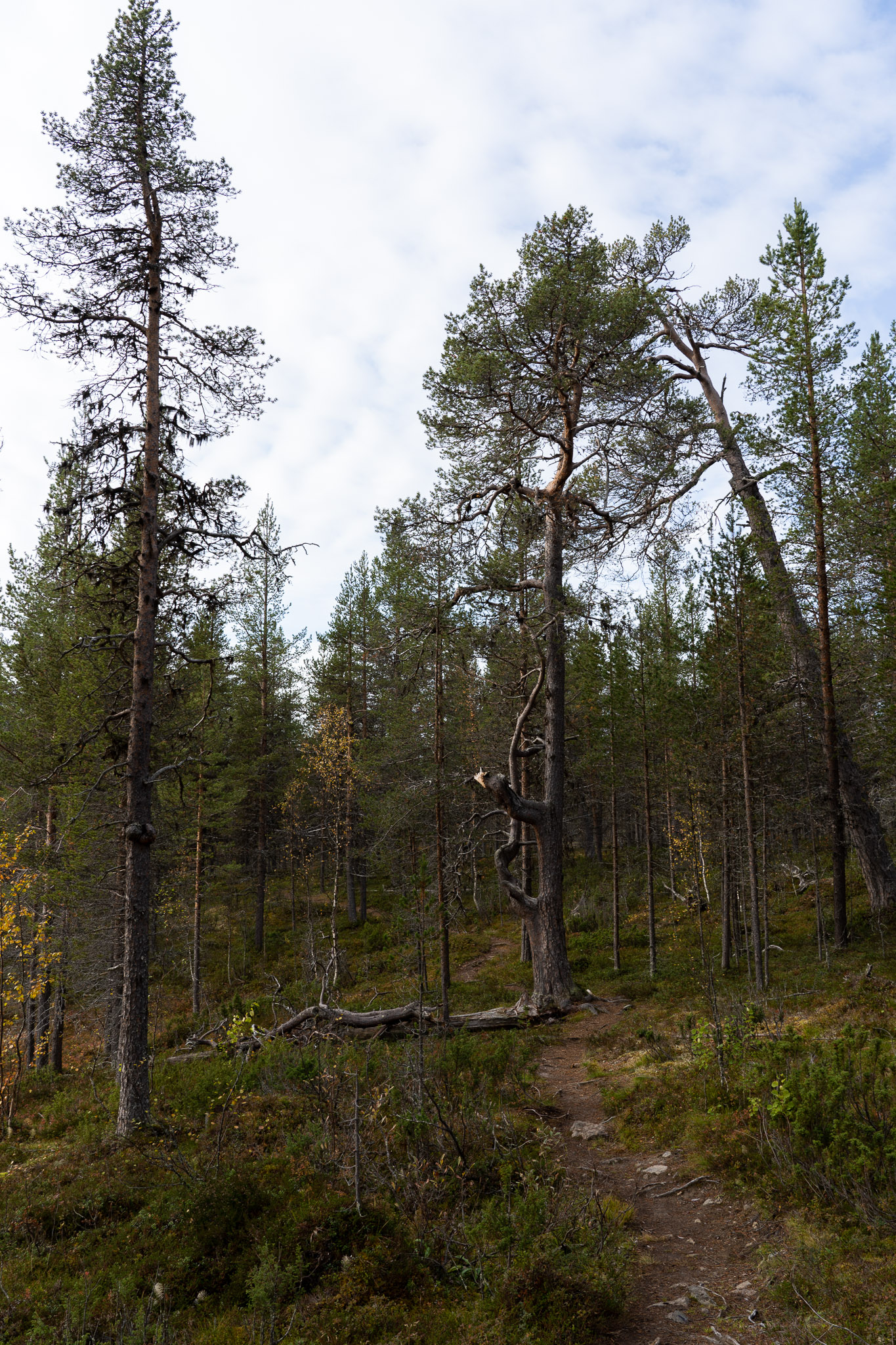 Eindrücke der Wanderung
