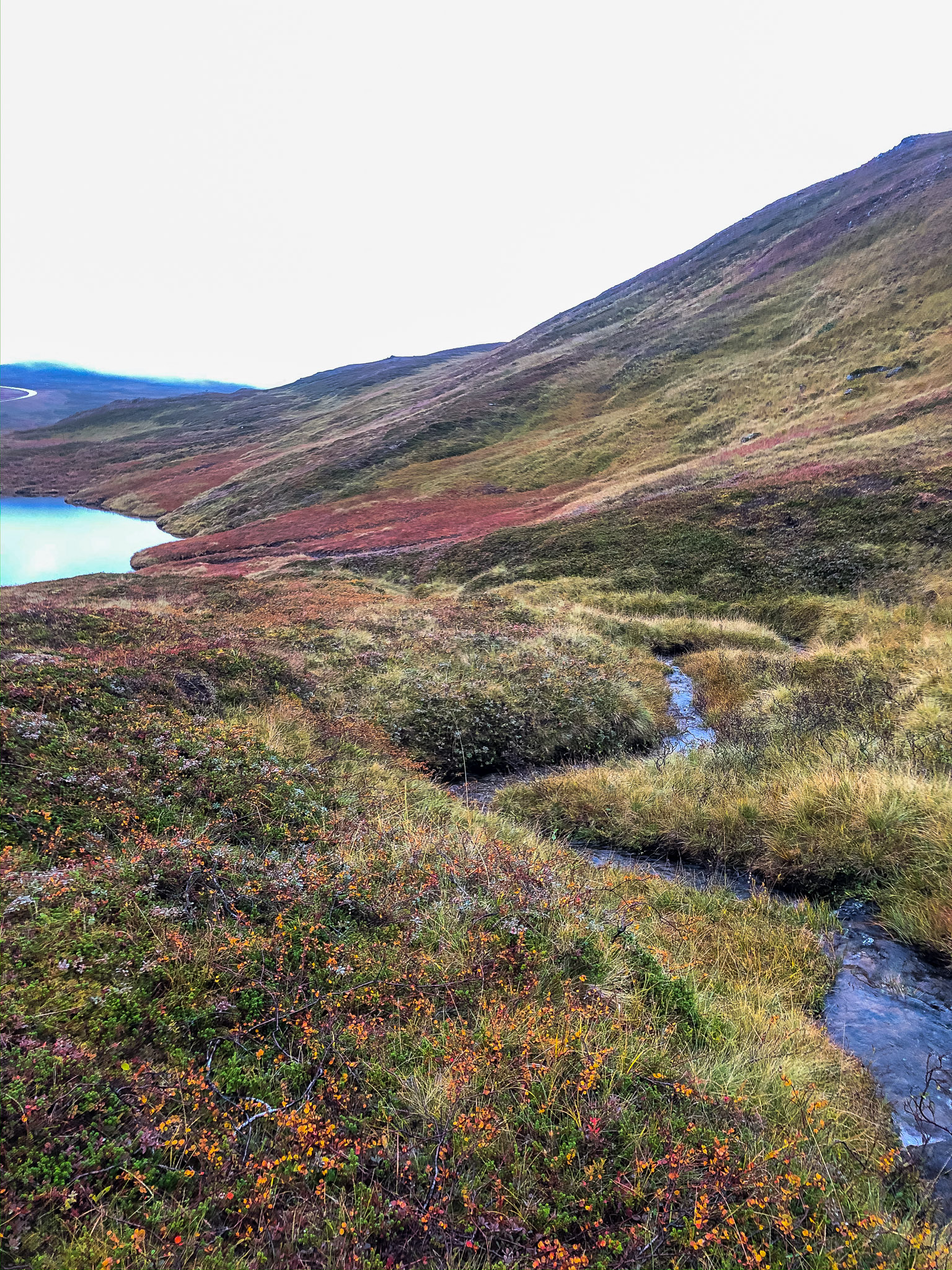 Flüsschen führt zu Seechen