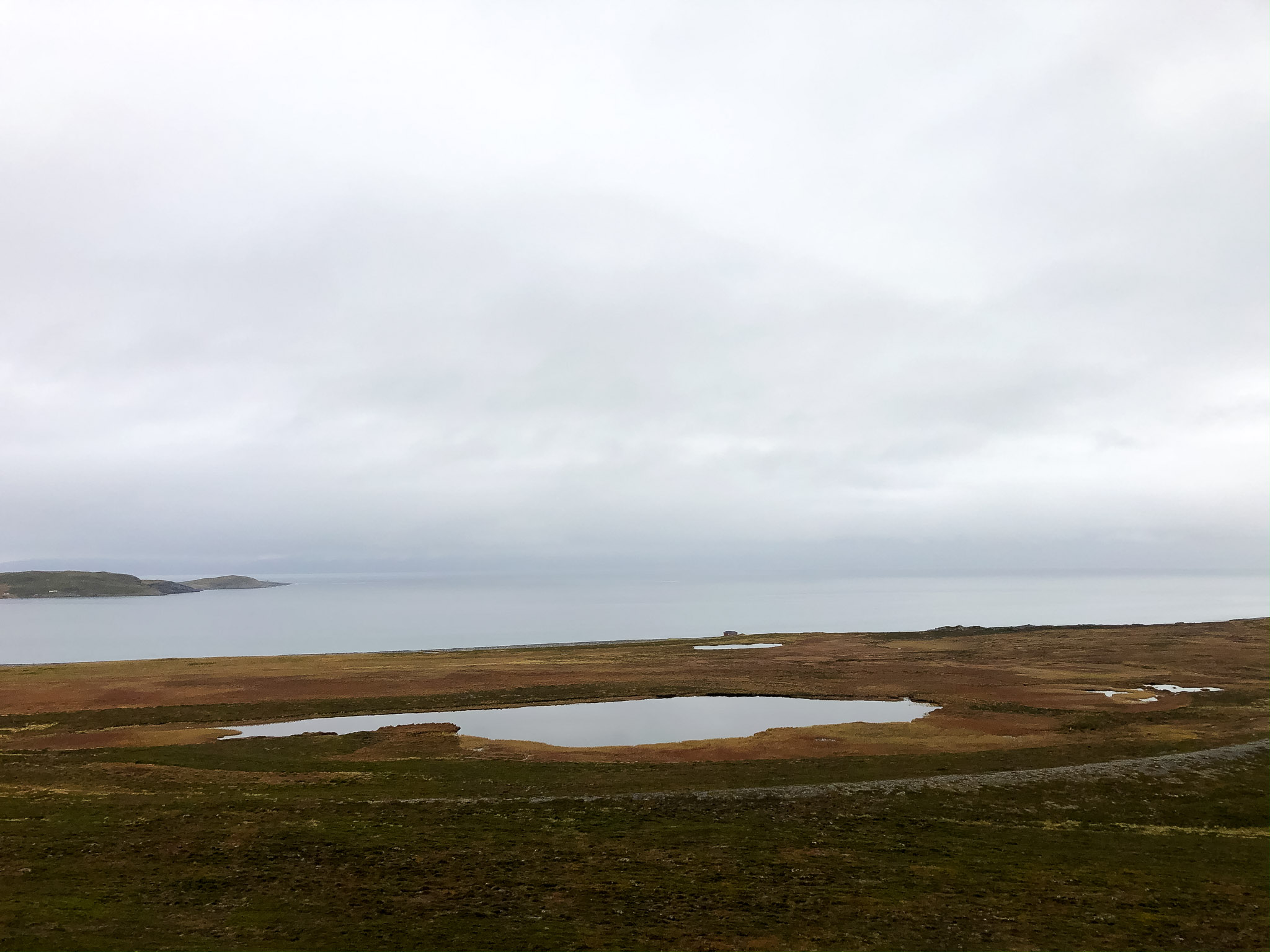 Schnappschuss aus halb voller Fahrt