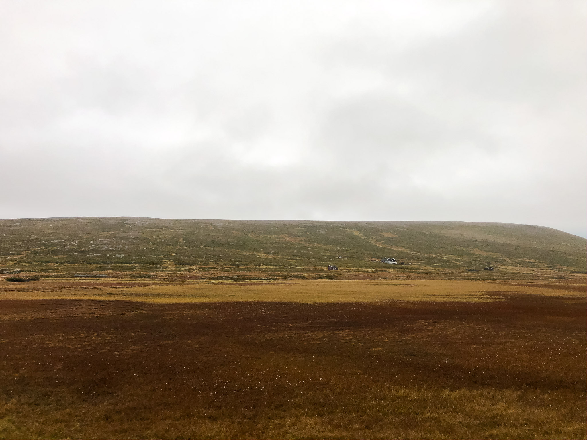 Schnappschuss aus halb voller Fahrt