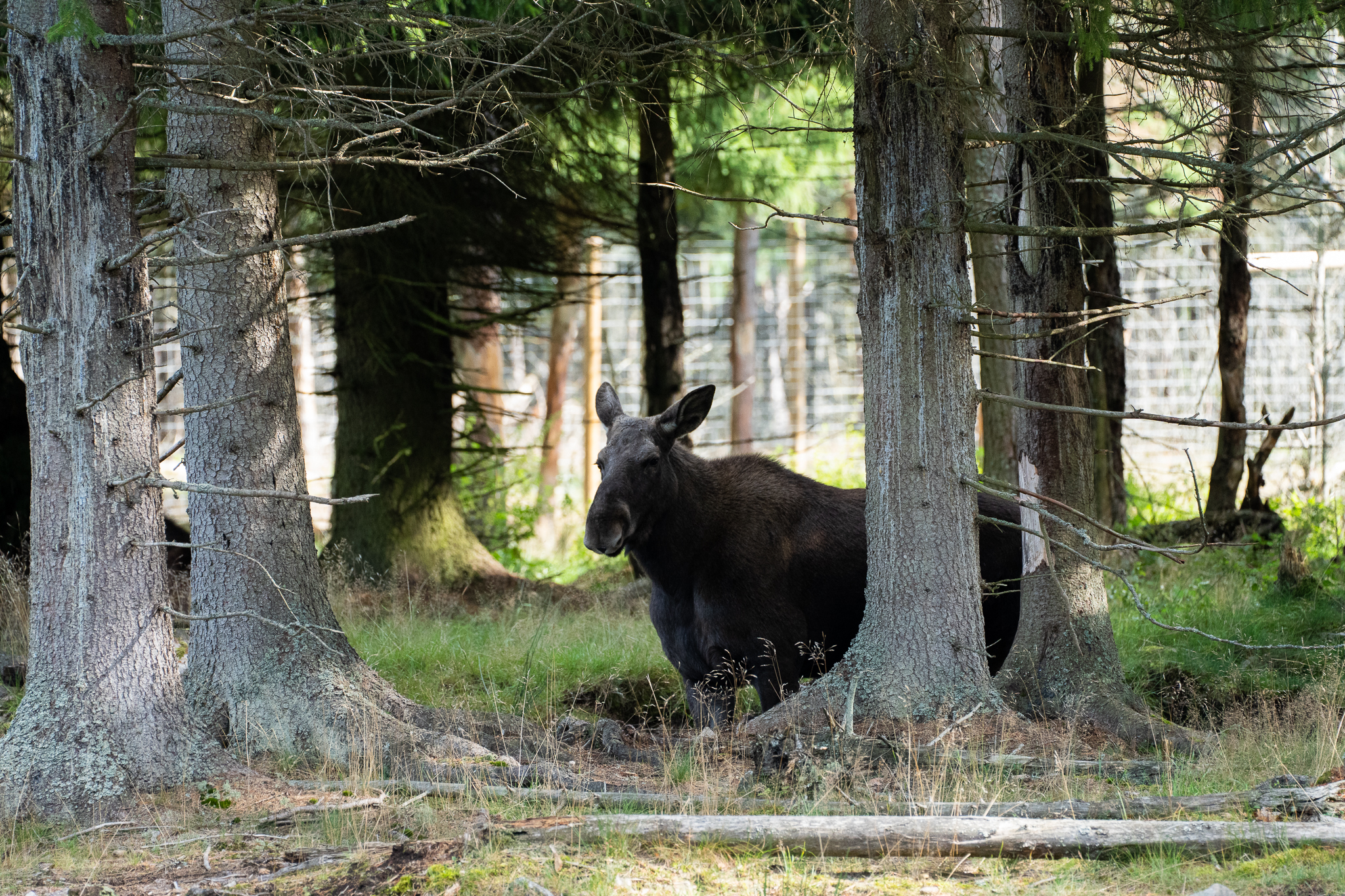 Bilder13-18