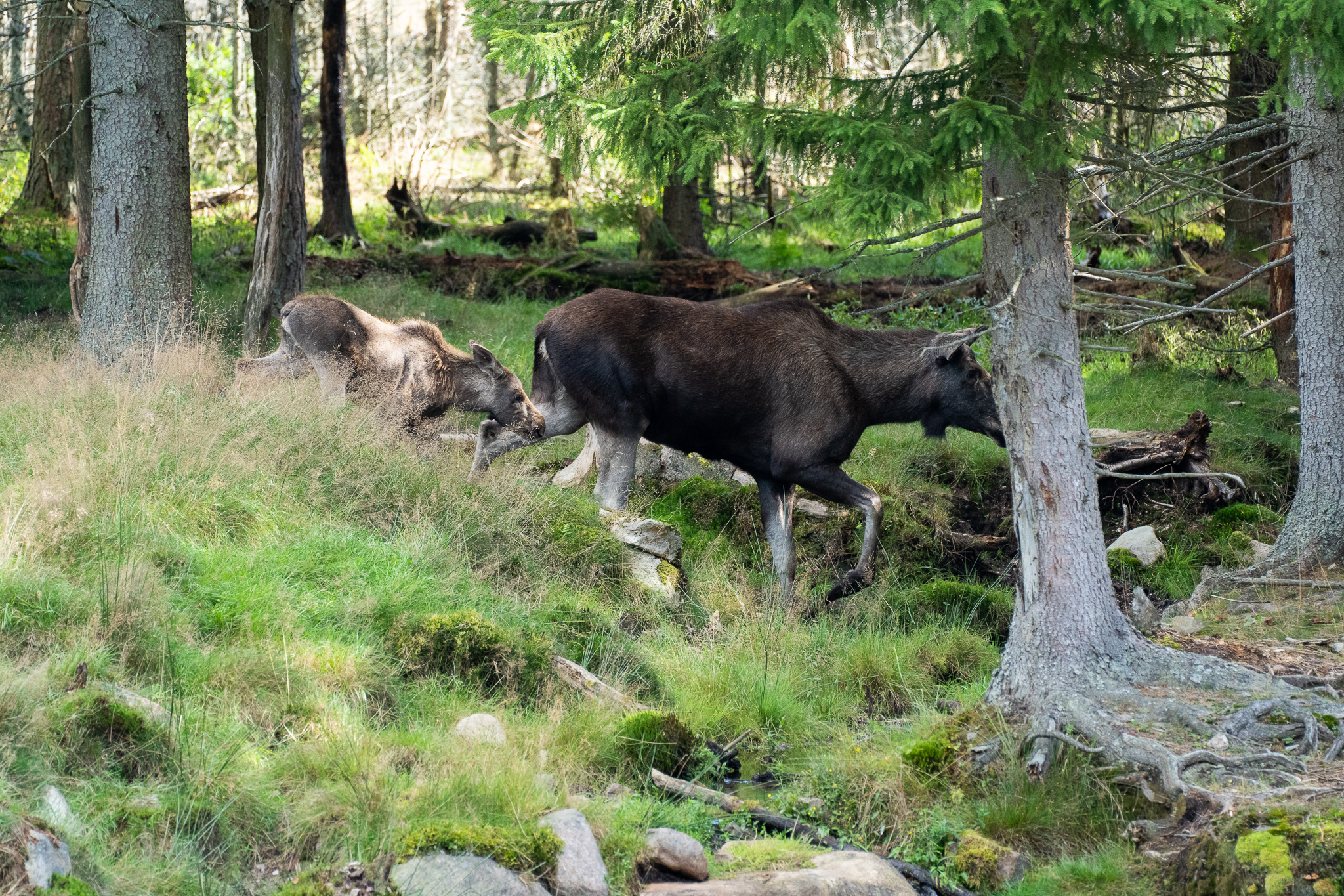 Bilder13-19