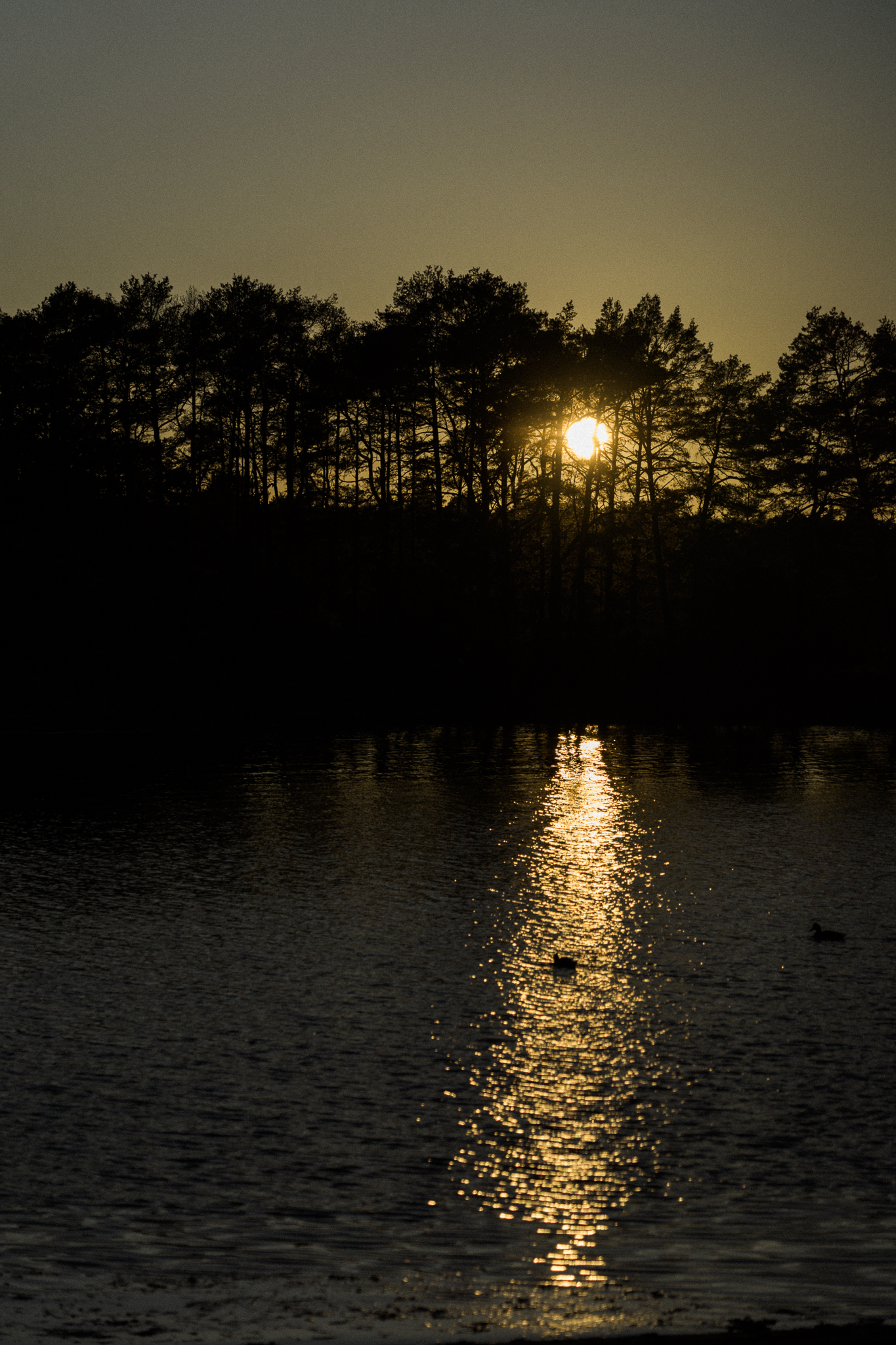 Bilder13-27