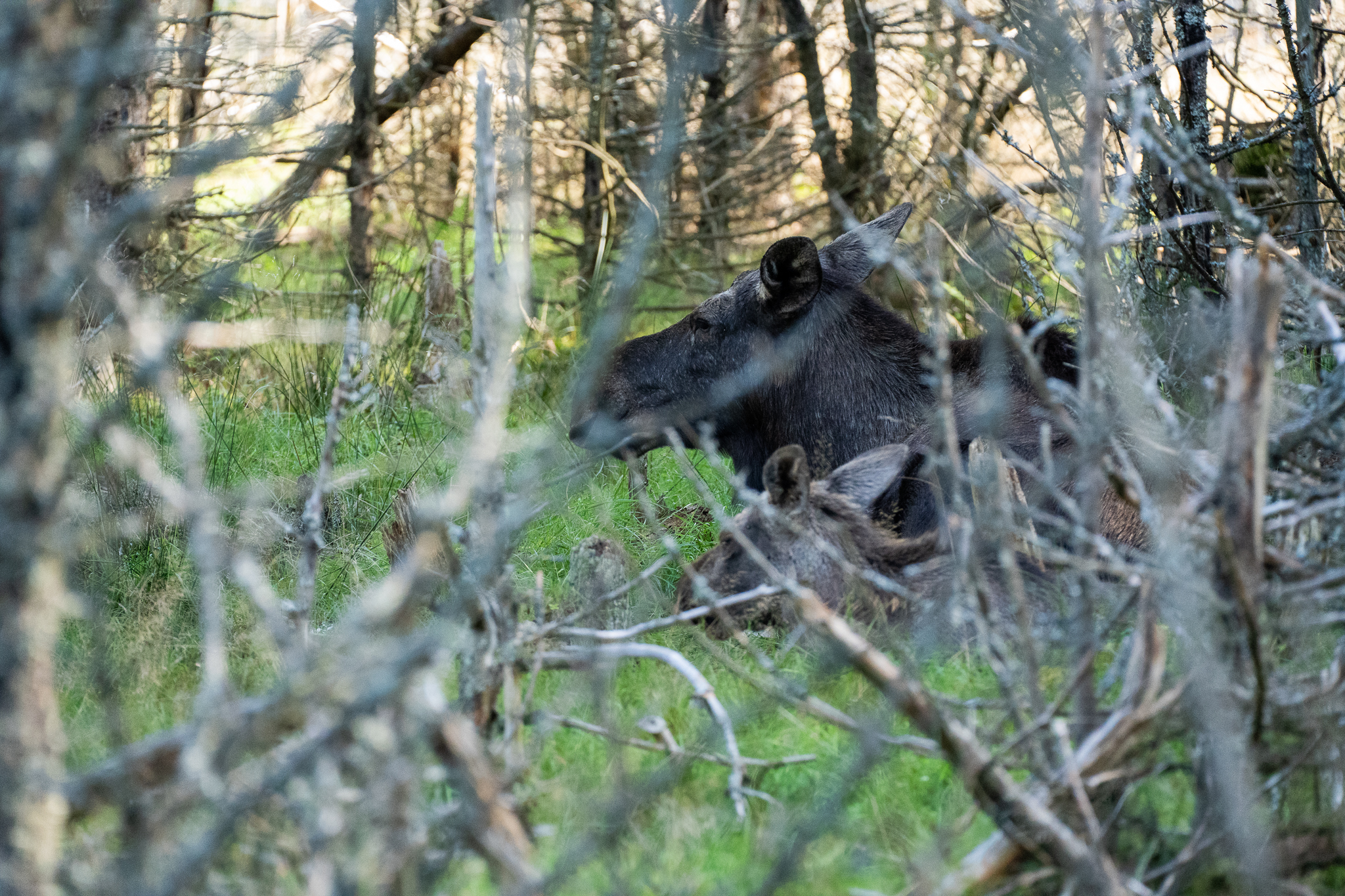 Bilder13-6