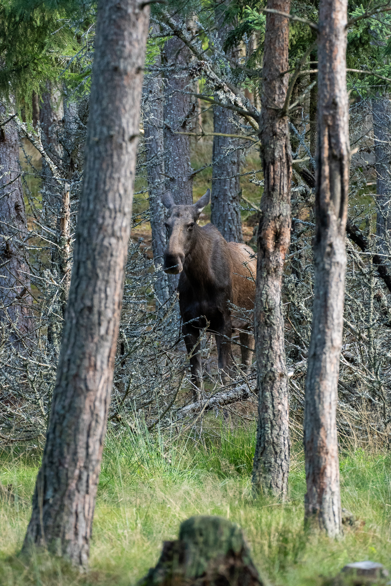 Bilder13-7