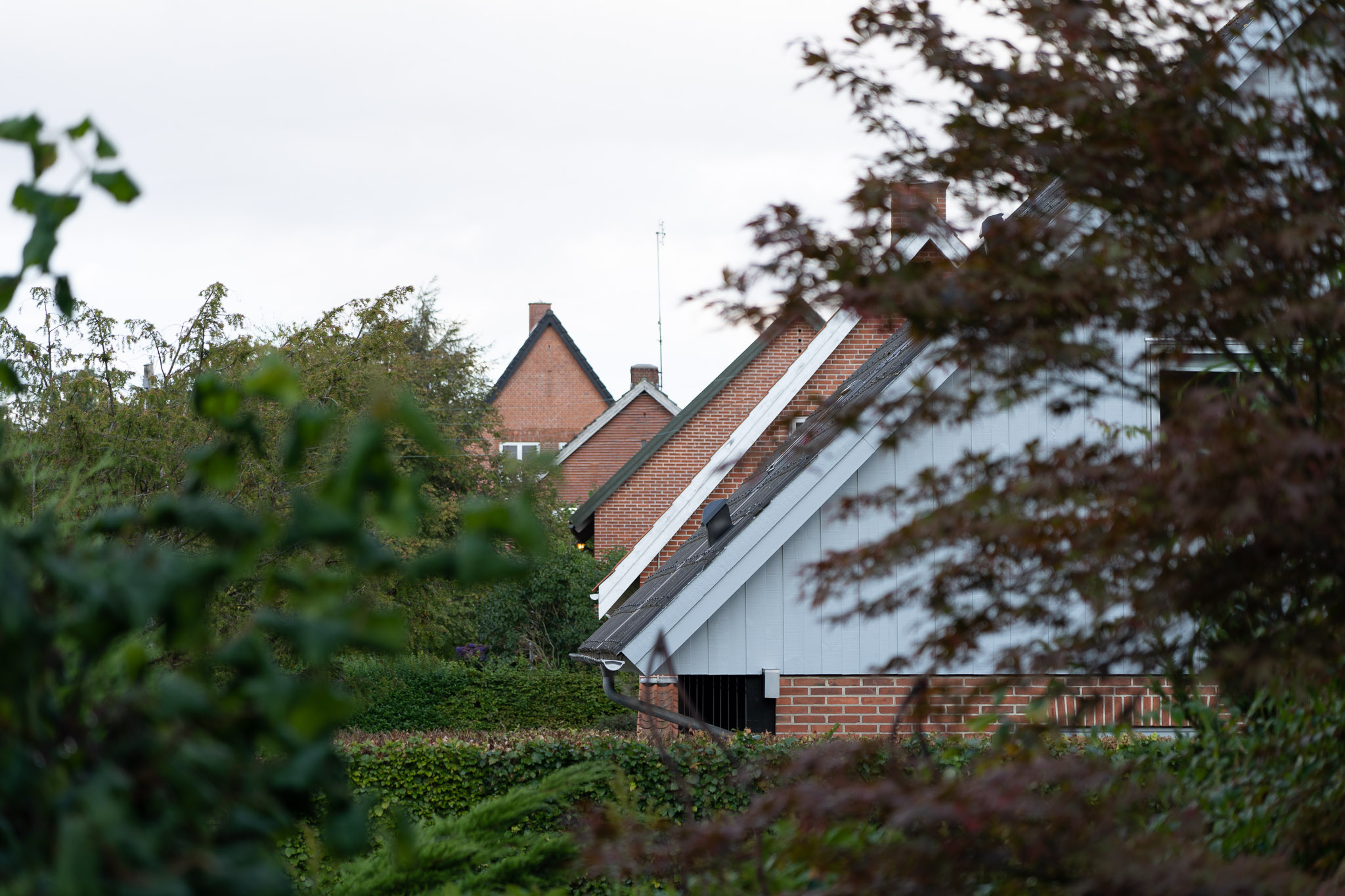 Dächer von Apenrade