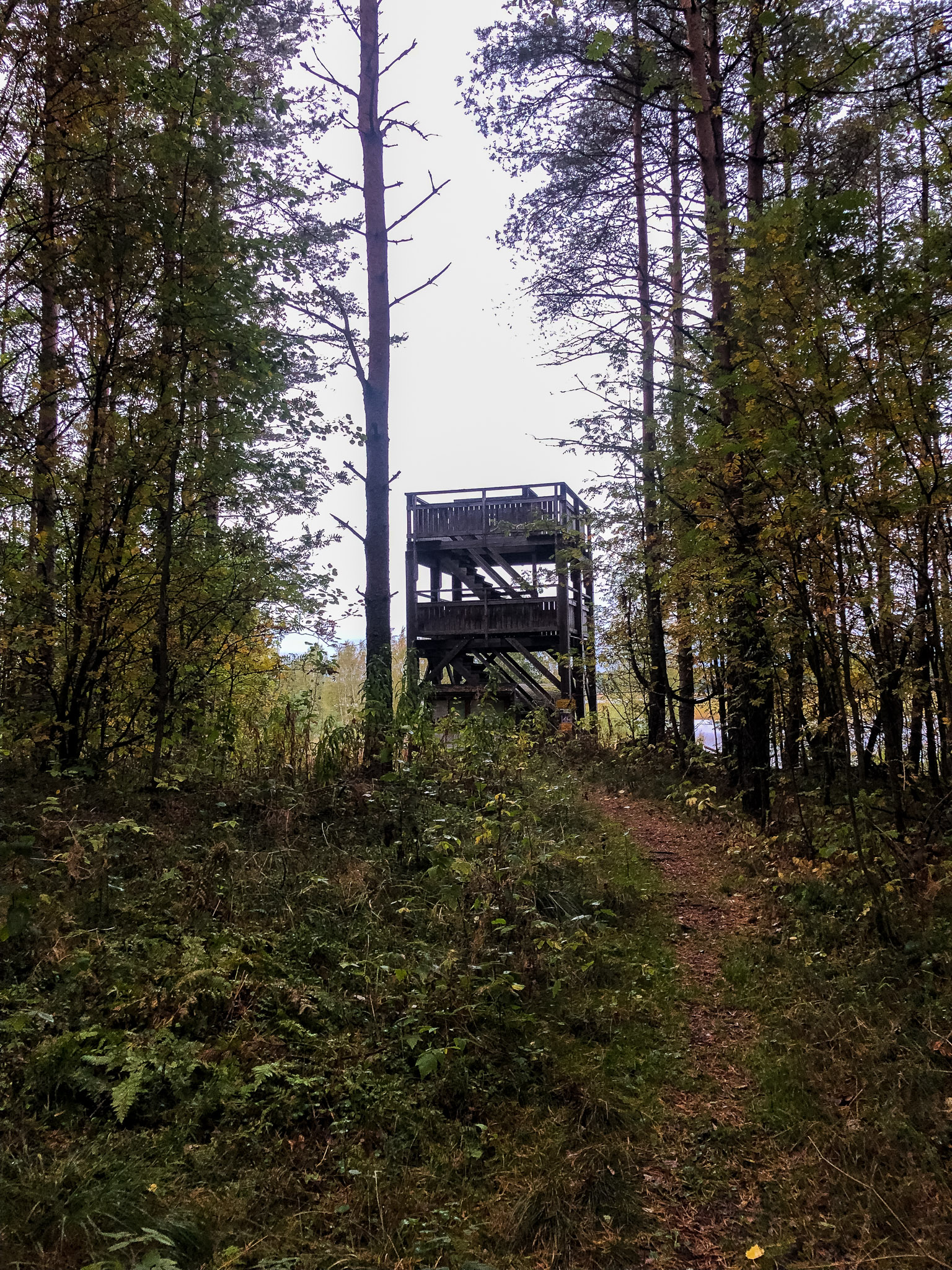 Vogelturm Vogelturm