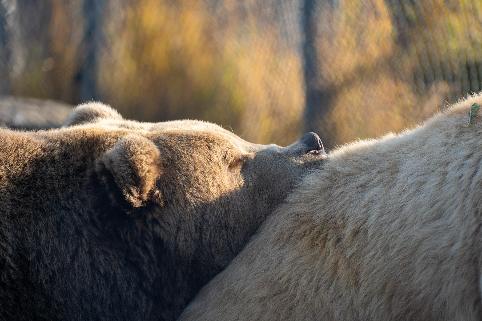 Scheint bequem zu sein