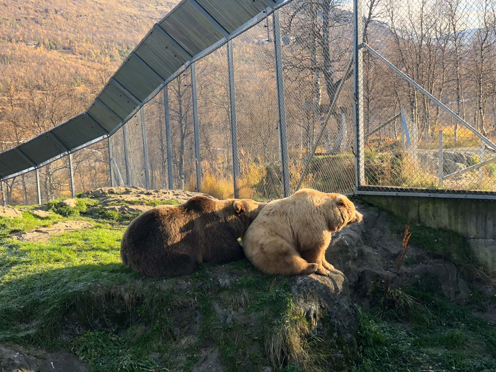 ...da hilft nur Kuscheln