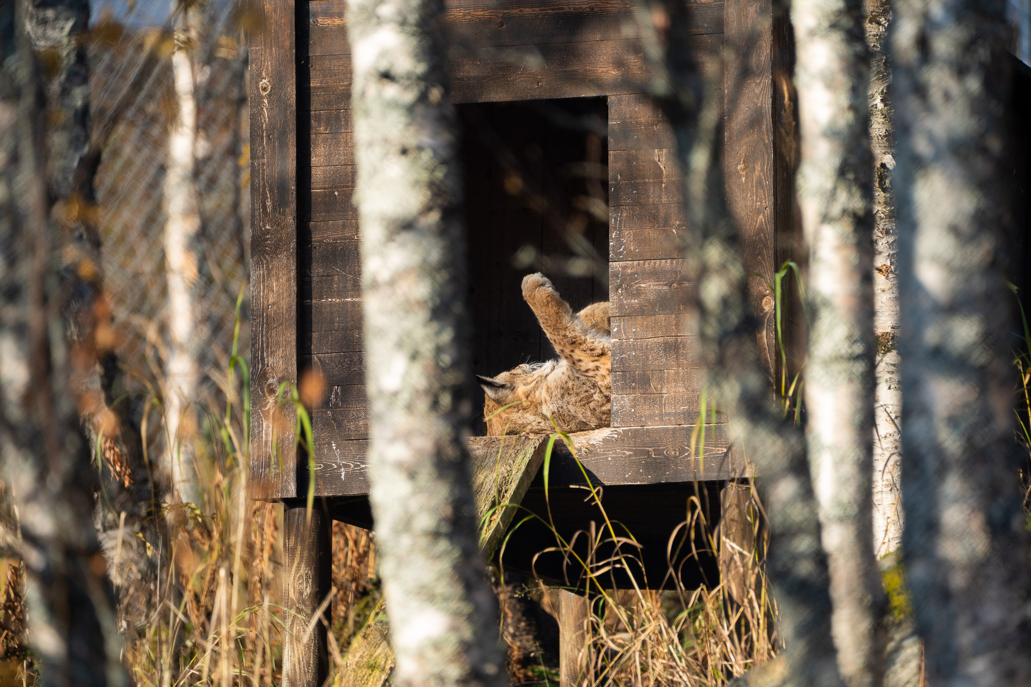 noch einmal strecken
