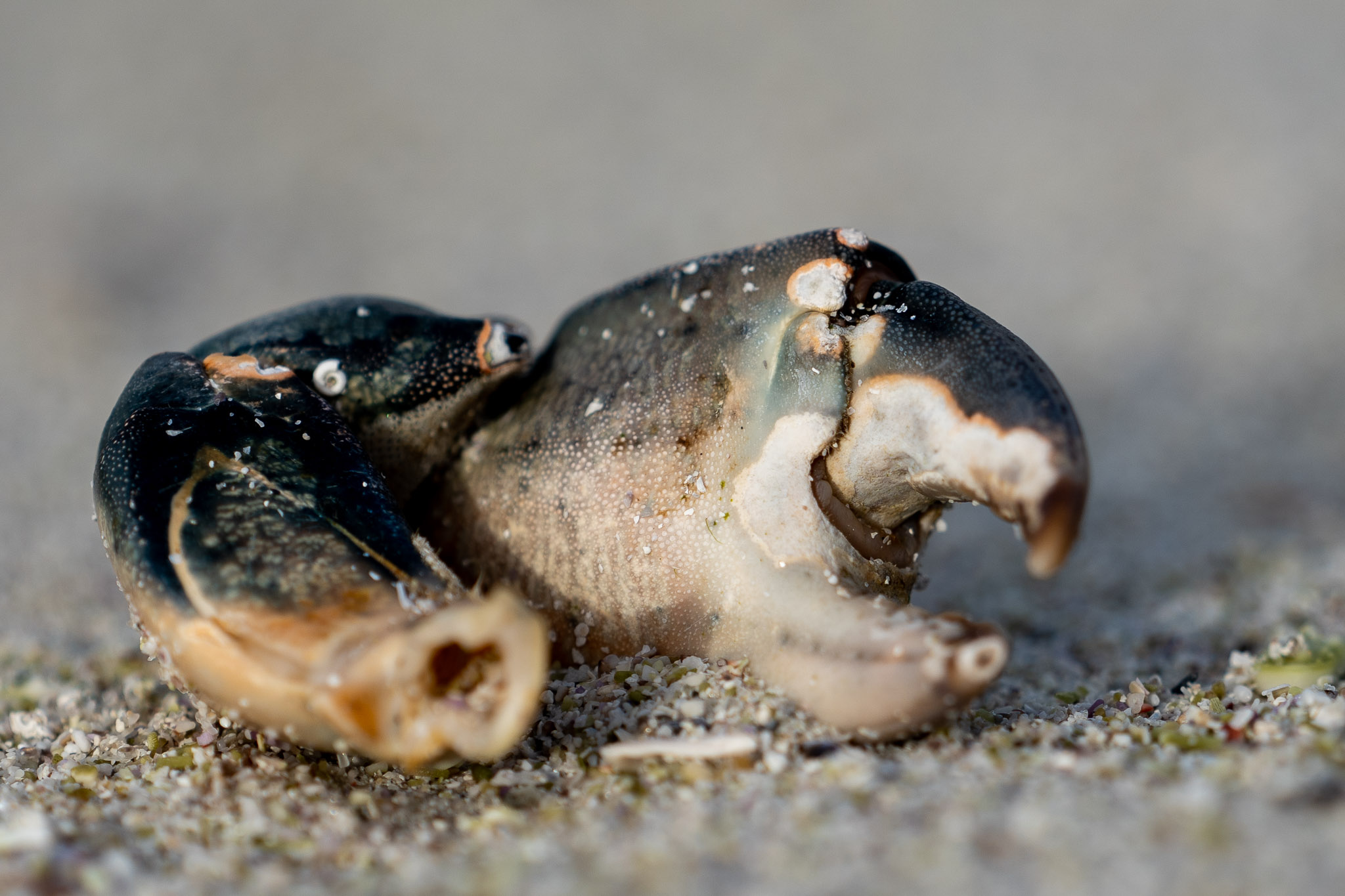 Da hat jemand was vergessen...