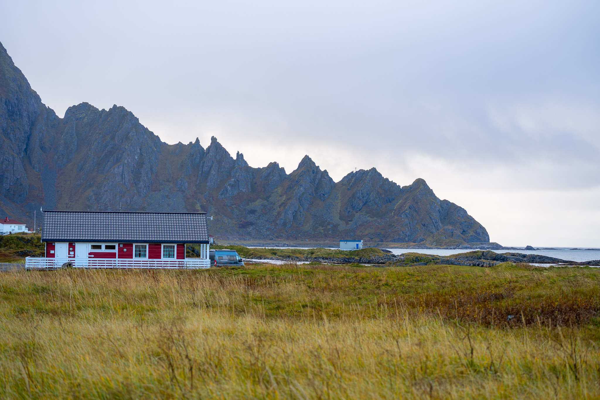 Hirvigo bewacht den Campingplatz