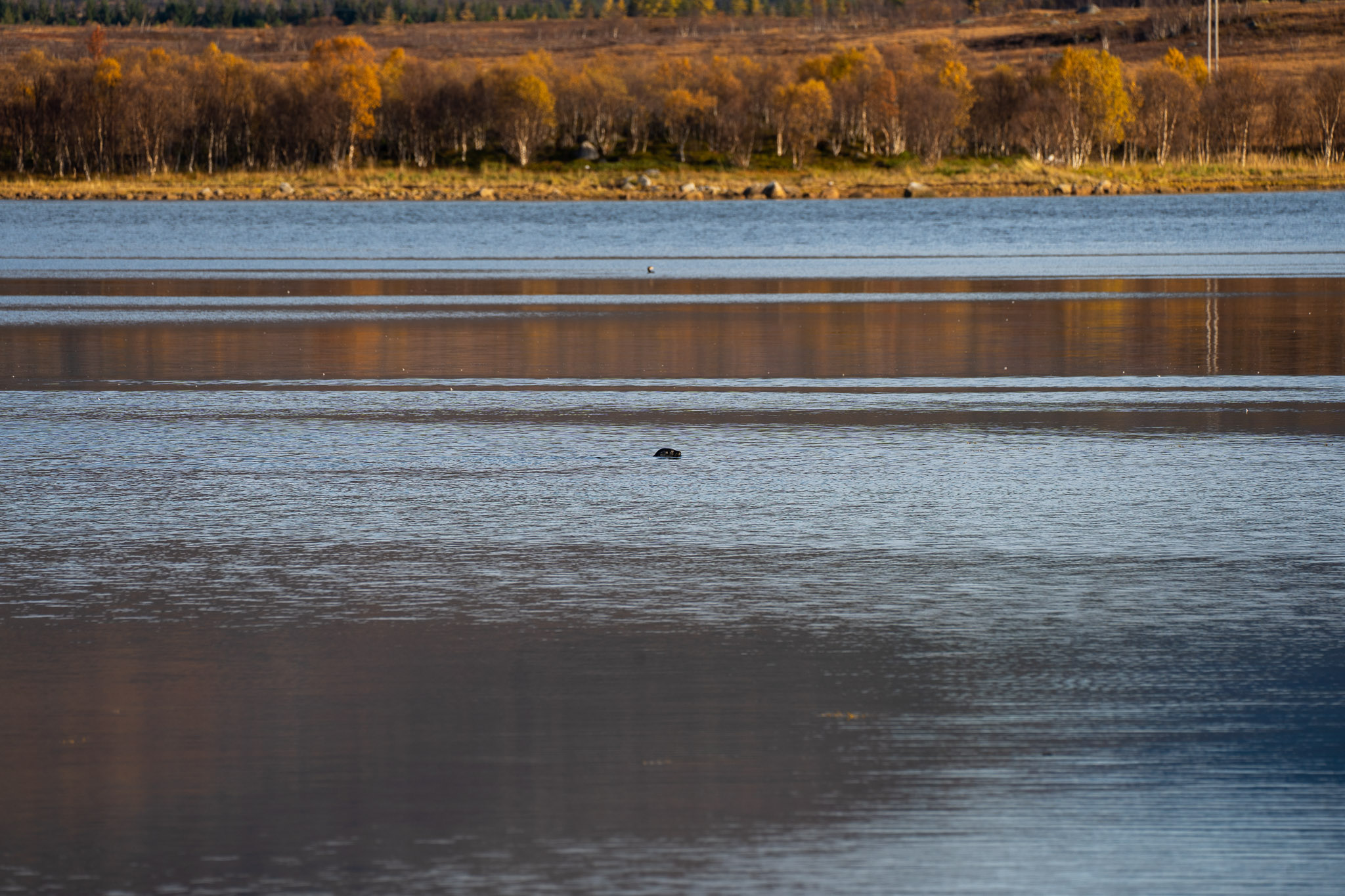 Was könnte das sein?