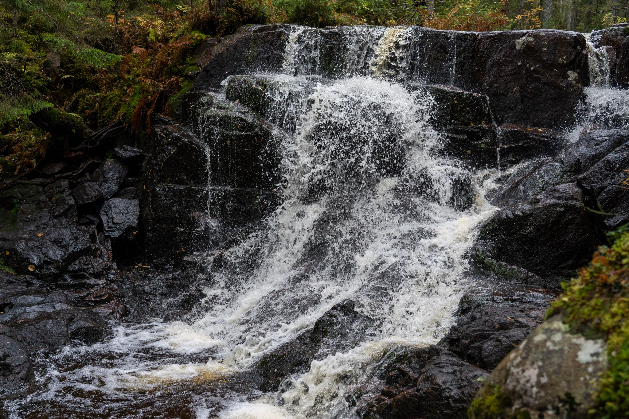 Eindrücke von Skuleskogen