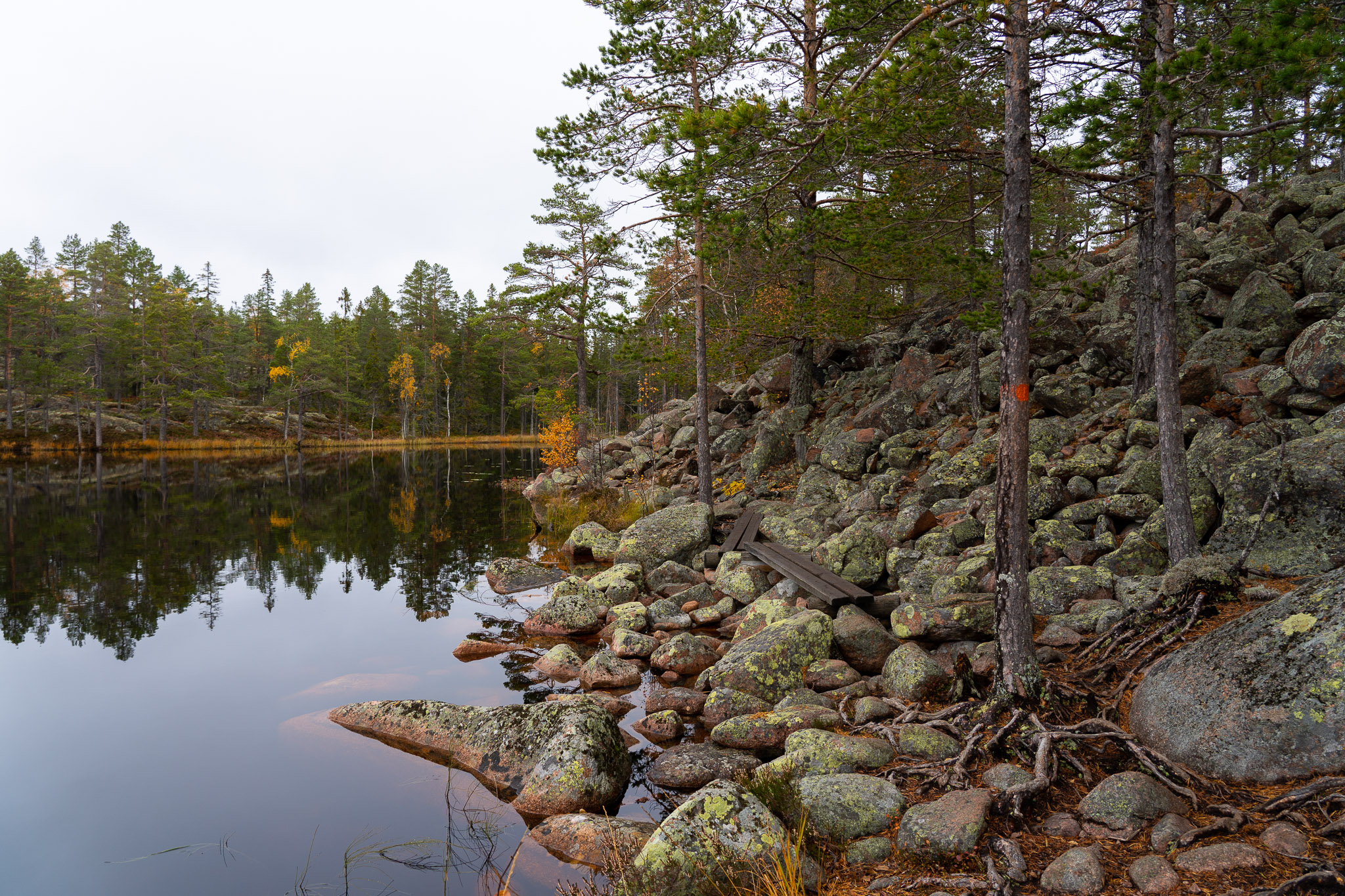 Wanderweg durch Skuleskogen