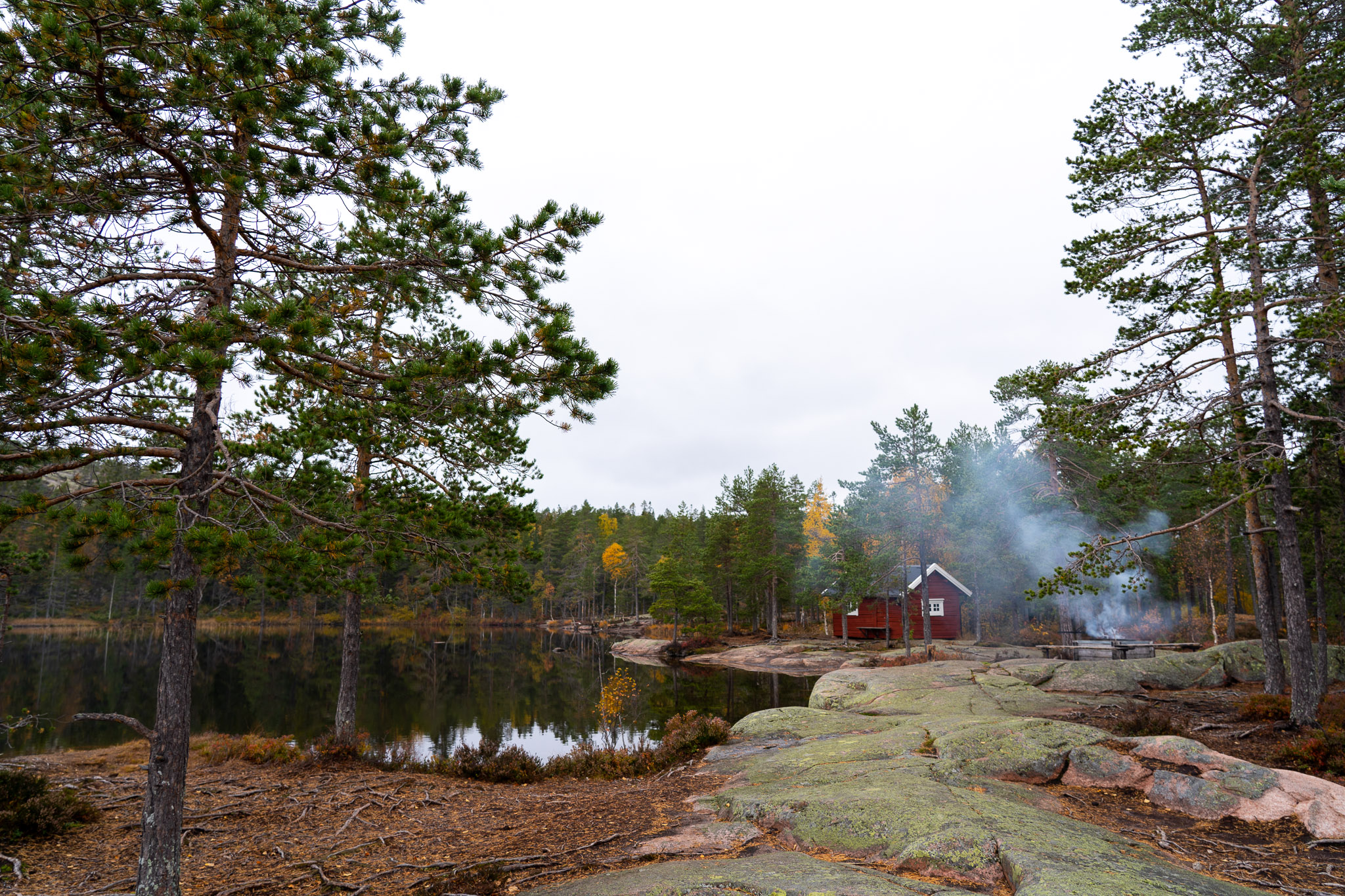 Eindrücke von Skuleskogen