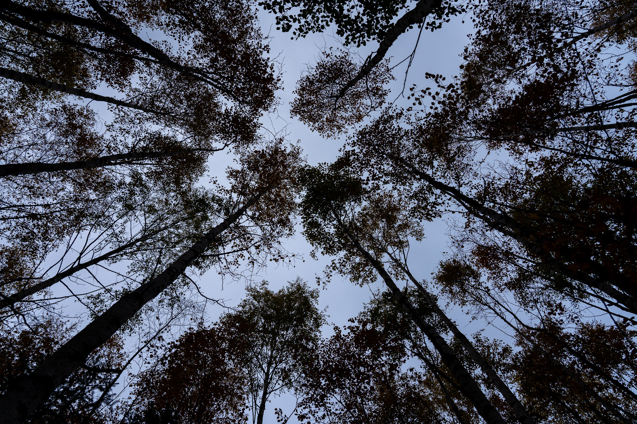 Eindrücke von Skuleskogen