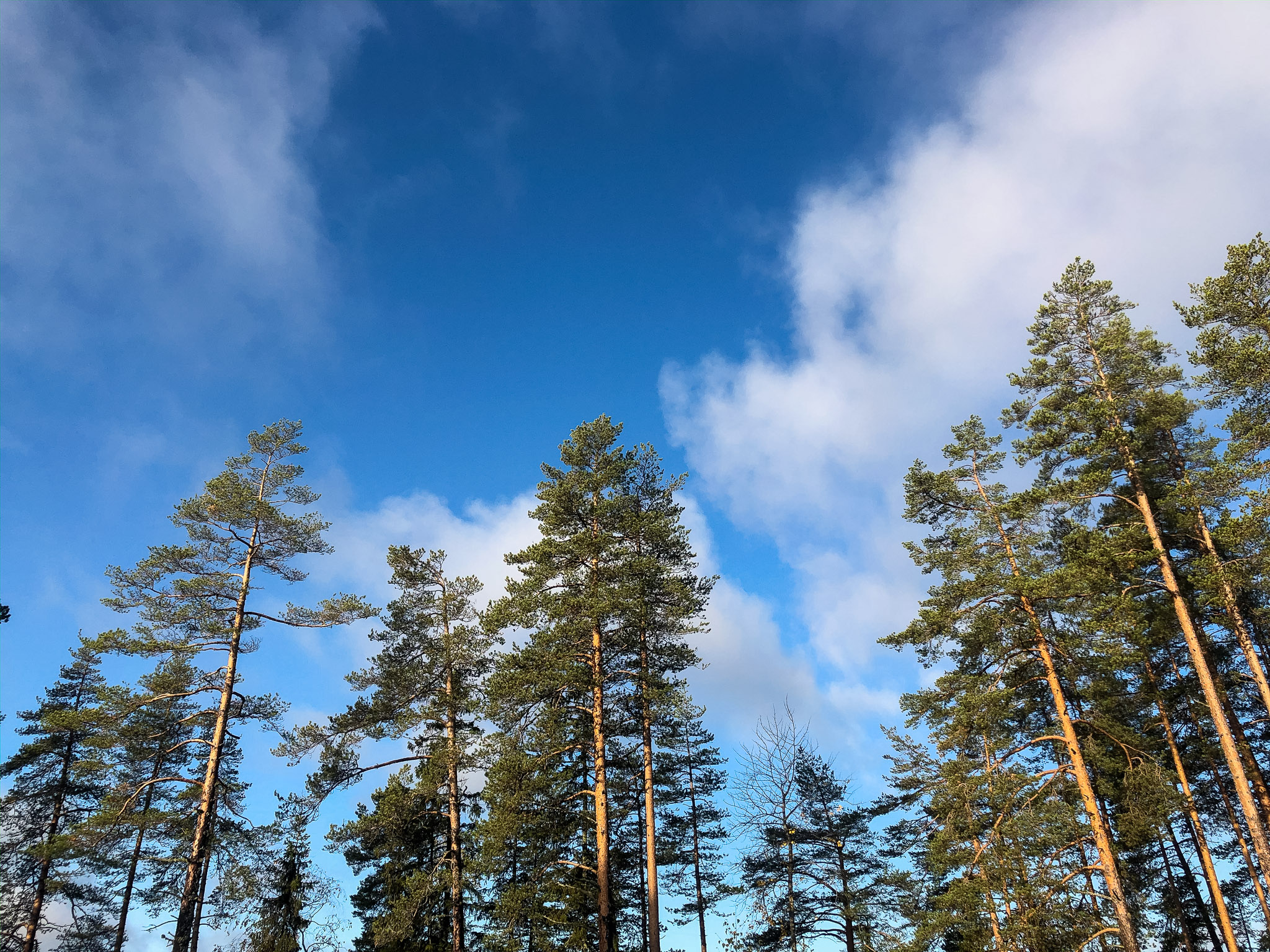 Schon fast keine Wolken mehr übrig
