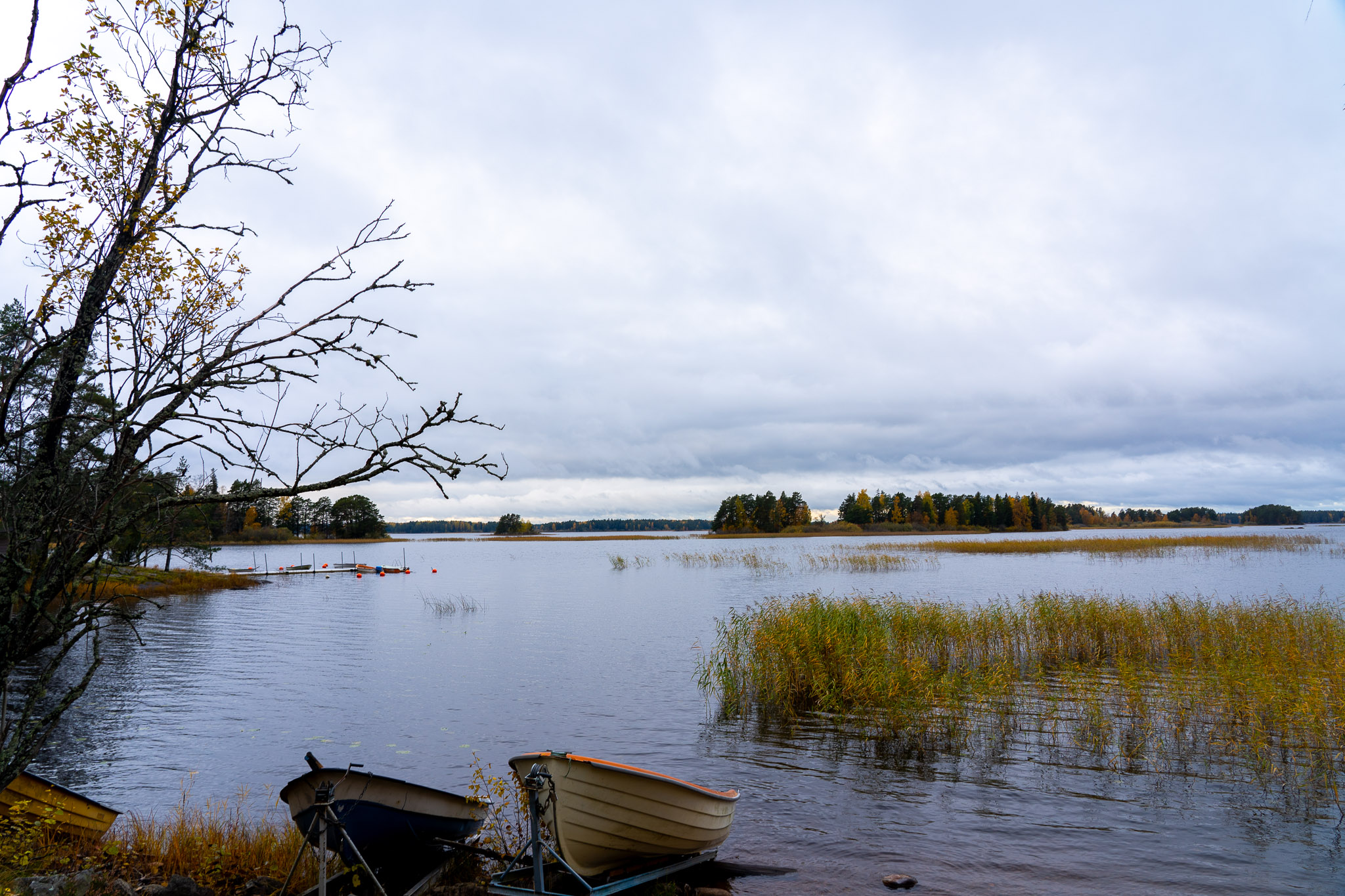 Nationalpark "Färnebofjärden"
