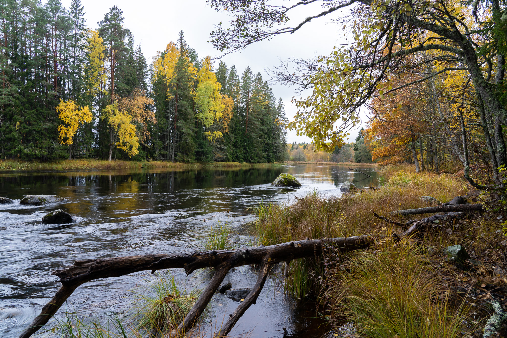 Nationalpark "Färnebofjärden"