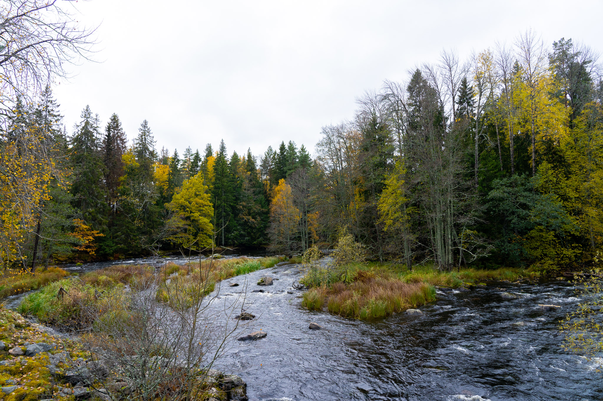 Nationalpark "Färnebofjärden"