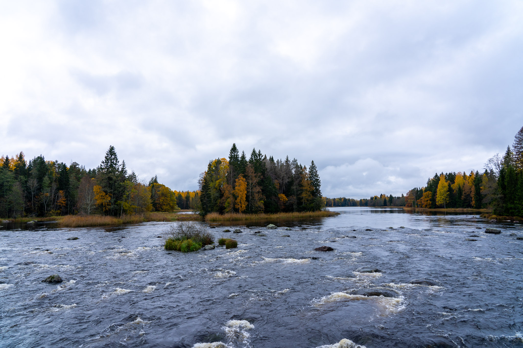 Nationalpark "Färnebofjärden"