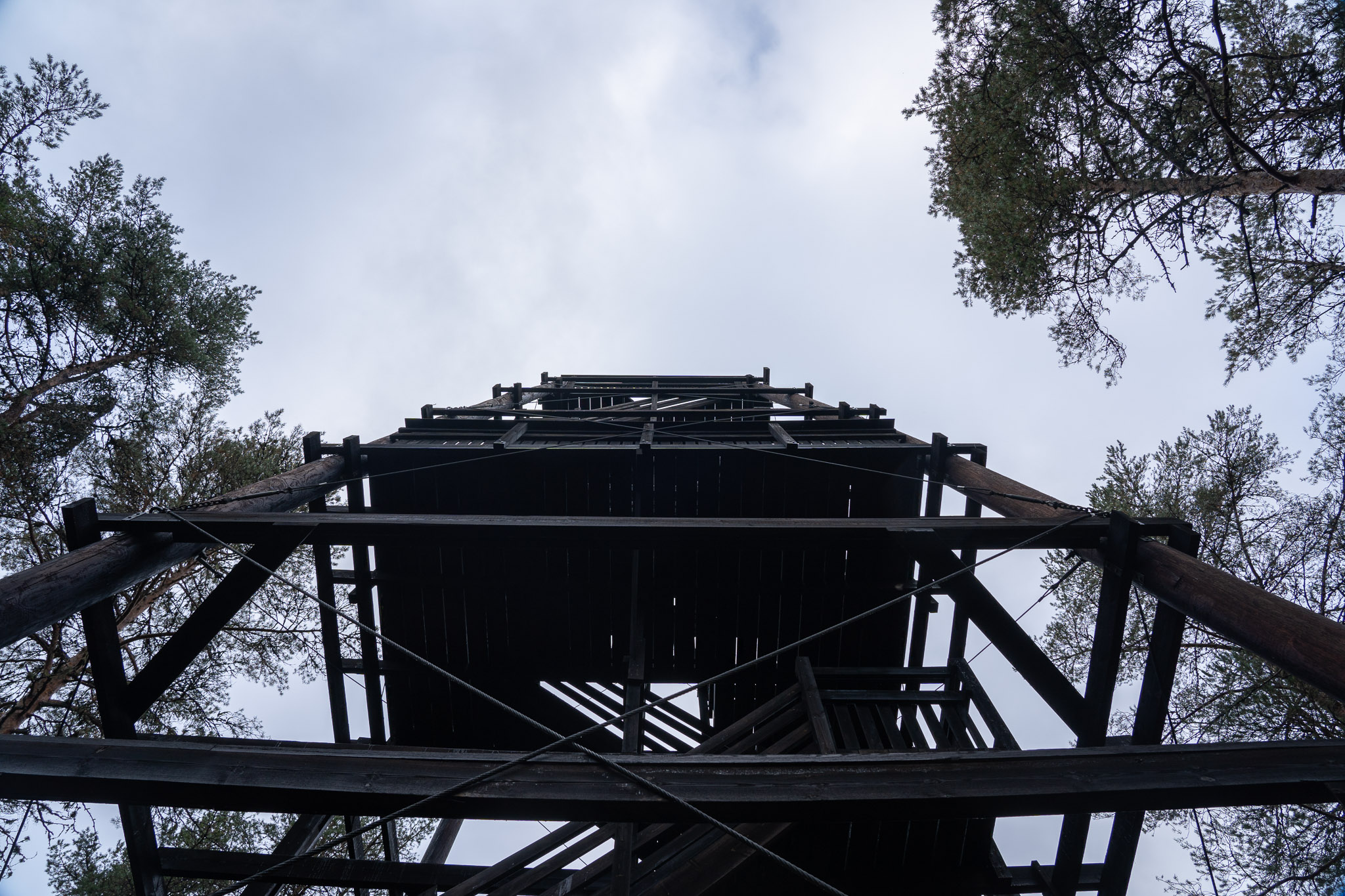 Aussichtsturm in Färnebofjärden