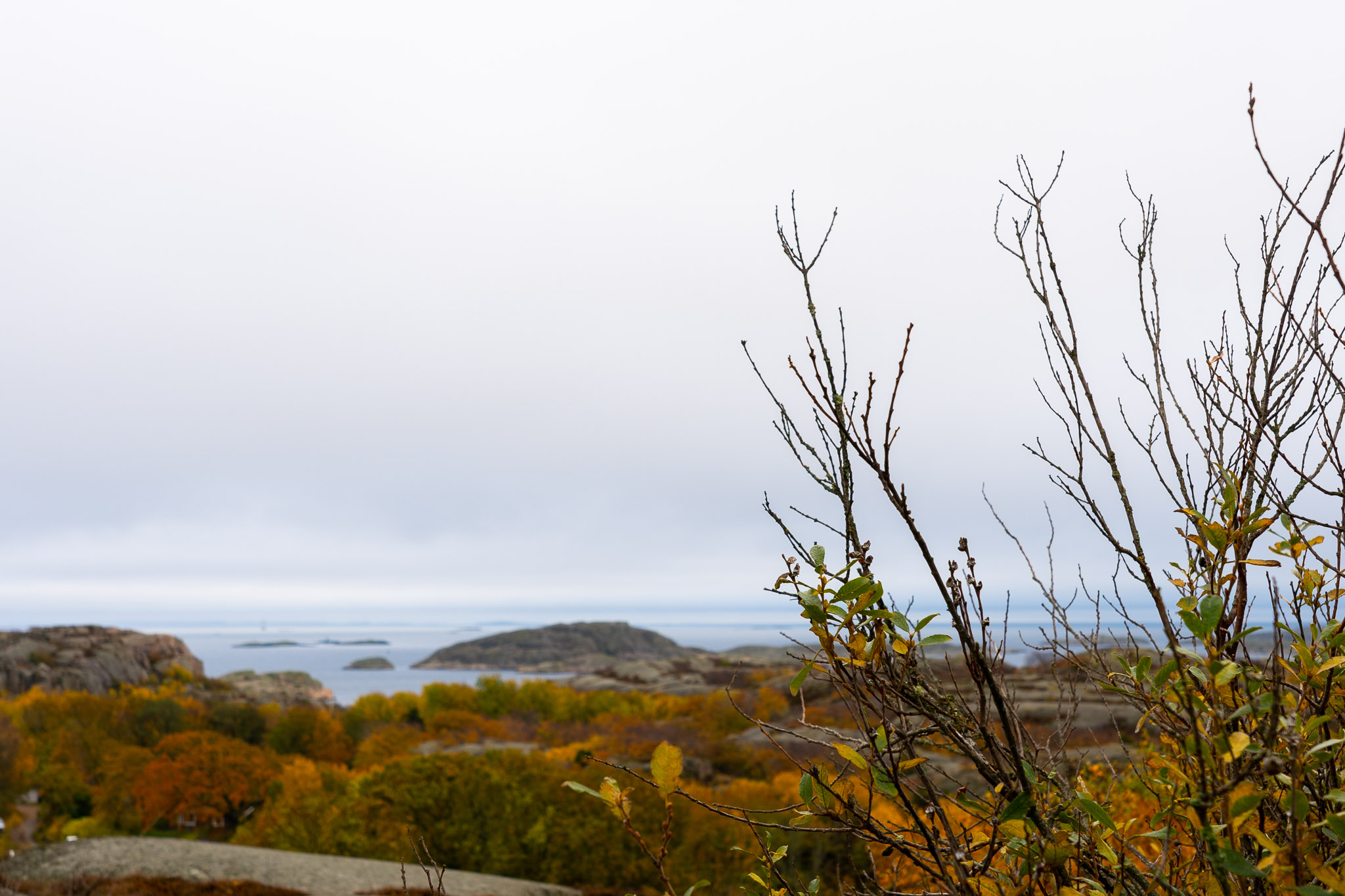 Spaziergang auf Schärenhügel