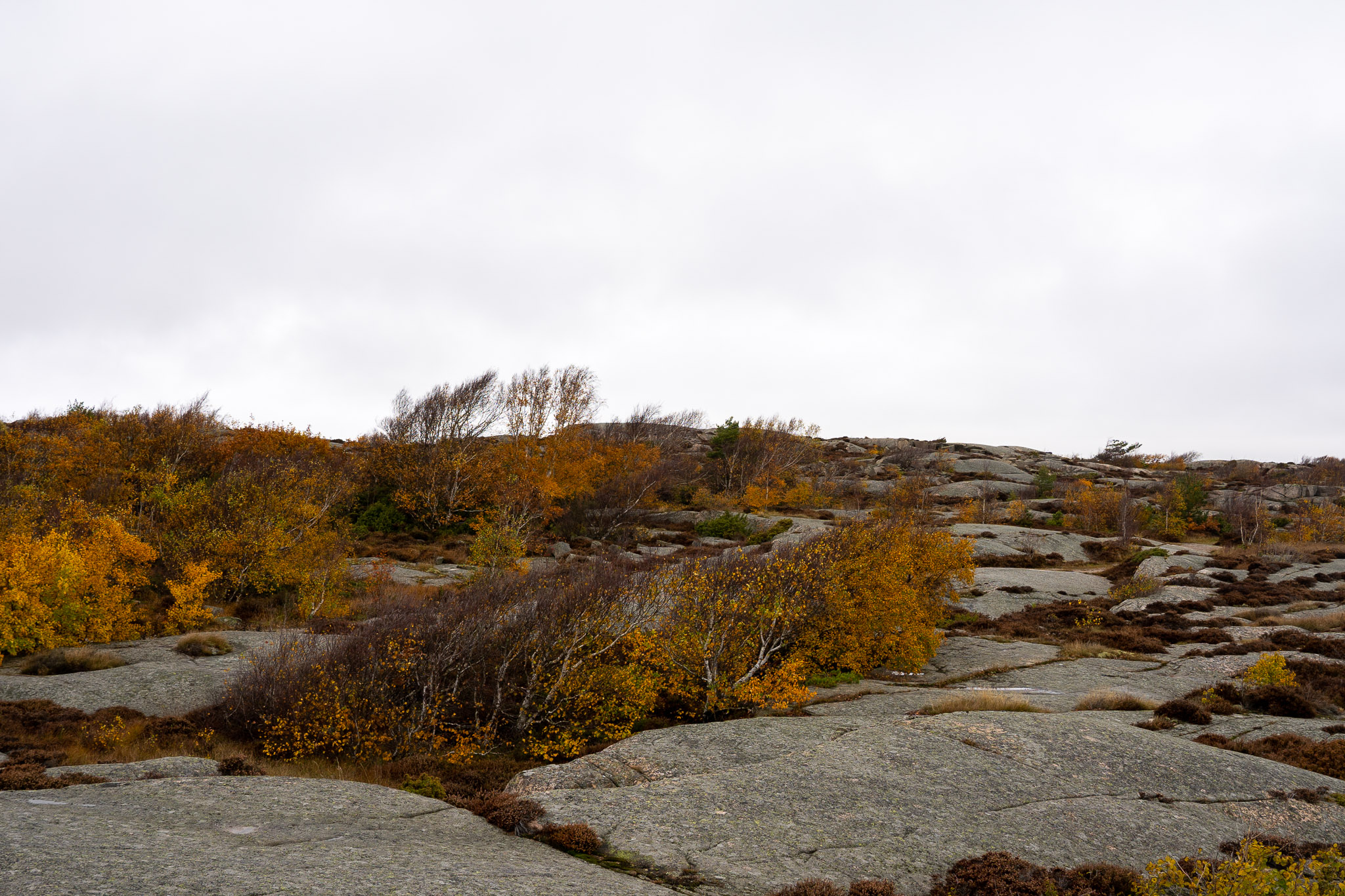 Spaziergang auf Schärenhügel