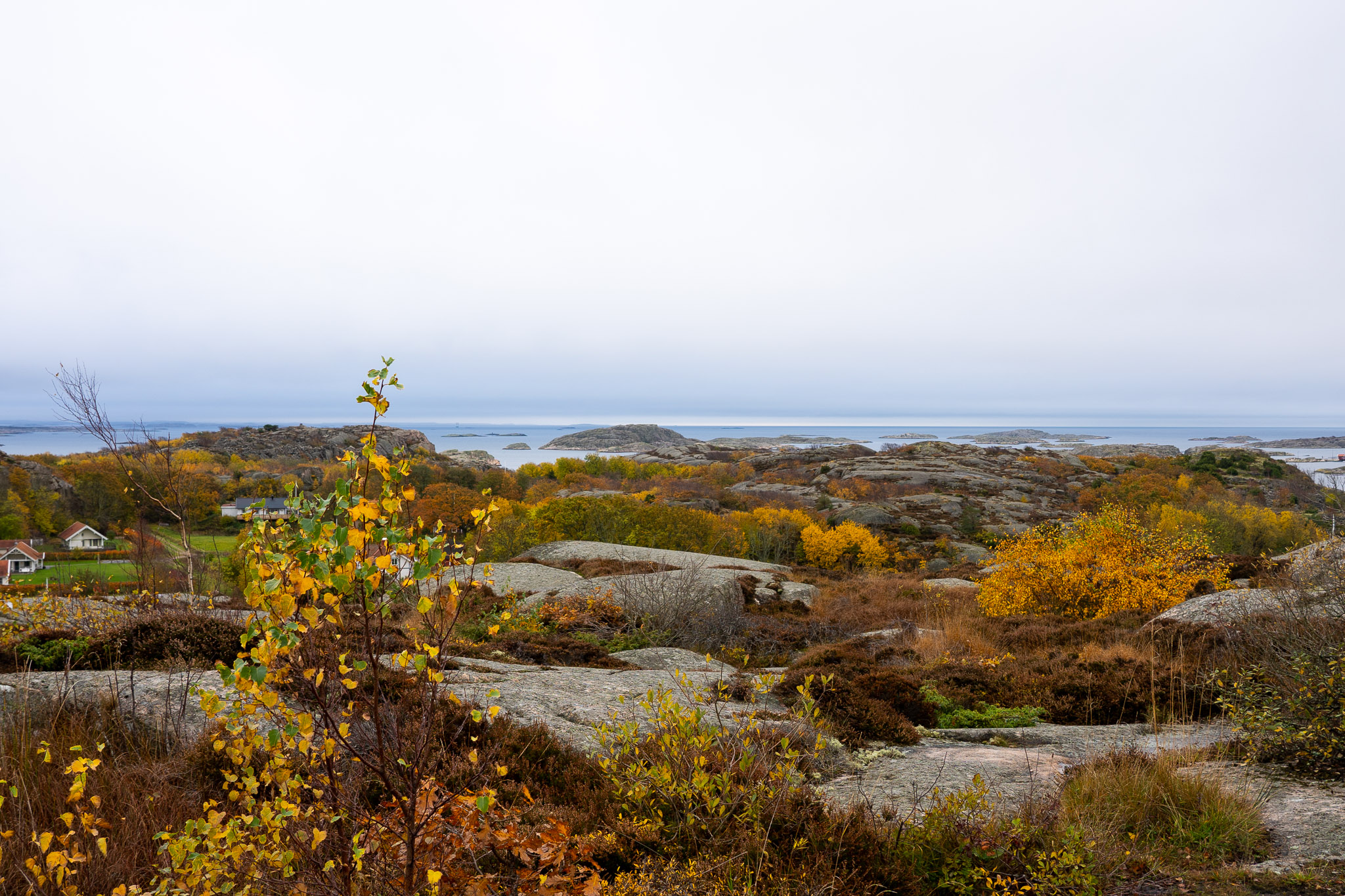 Spaziergang auf Schärenhügel