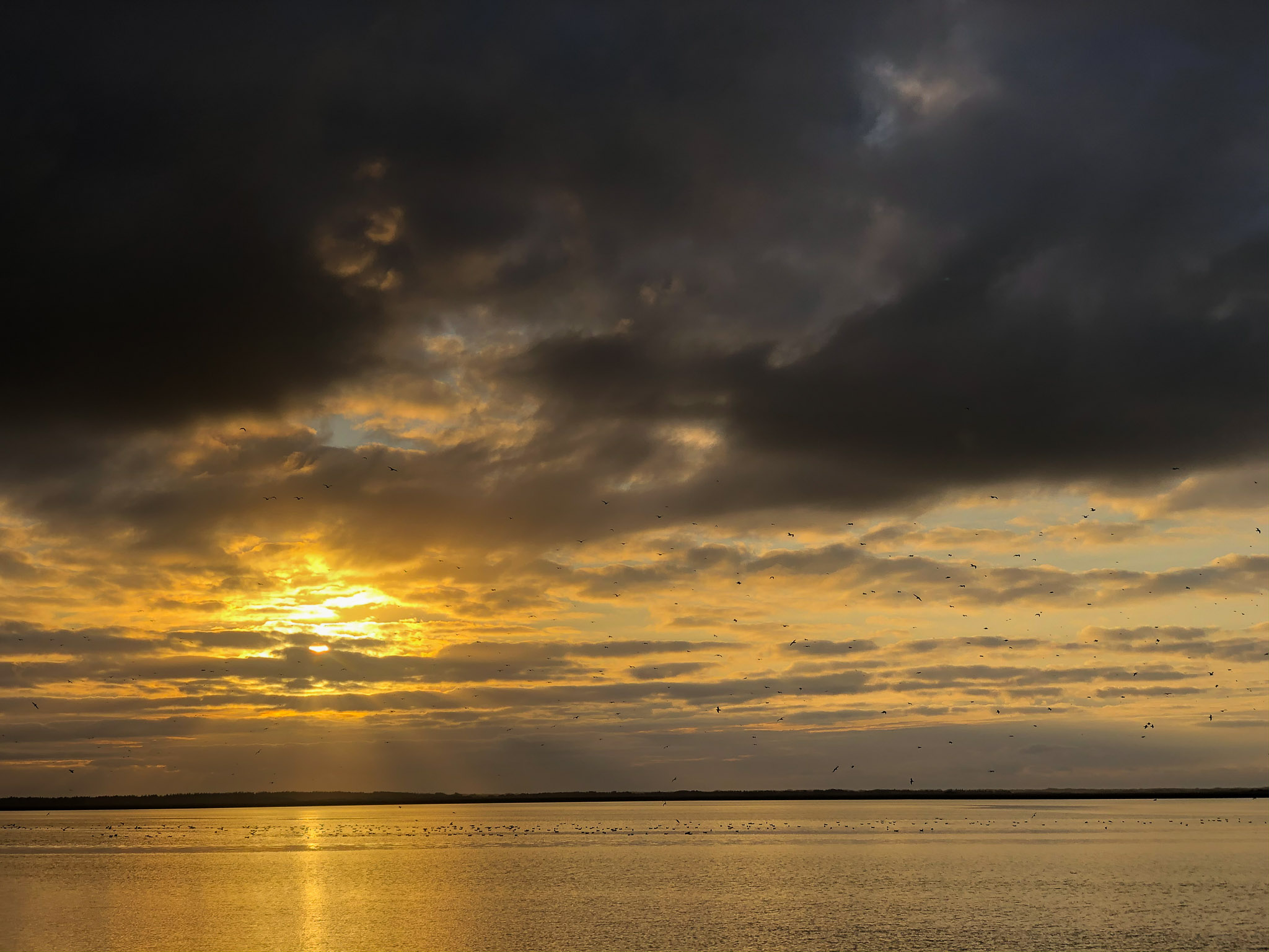 Sonnenuntergang in Bork Havn
