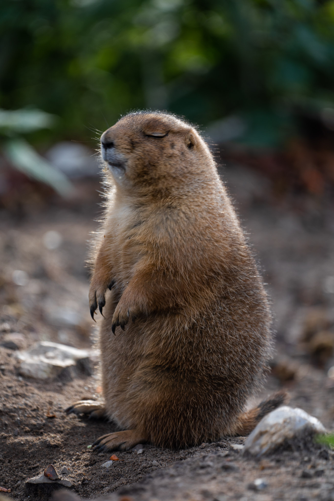 und anschliessendem Nickerchen