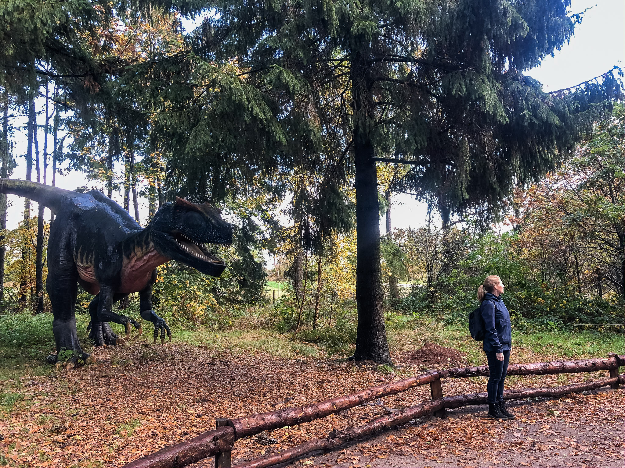 Da ist etwas hinter dir...