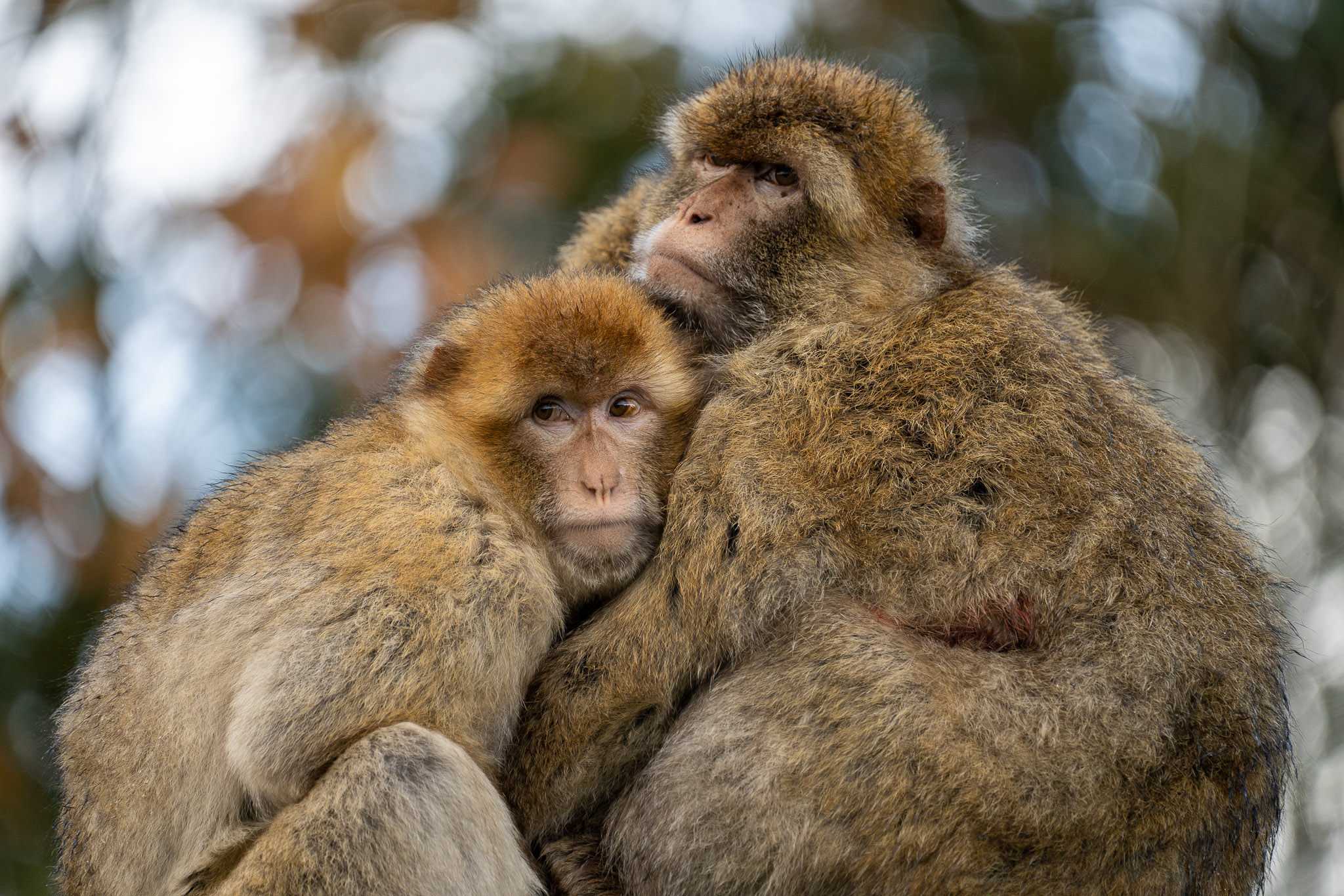 Es war etwas kühl...