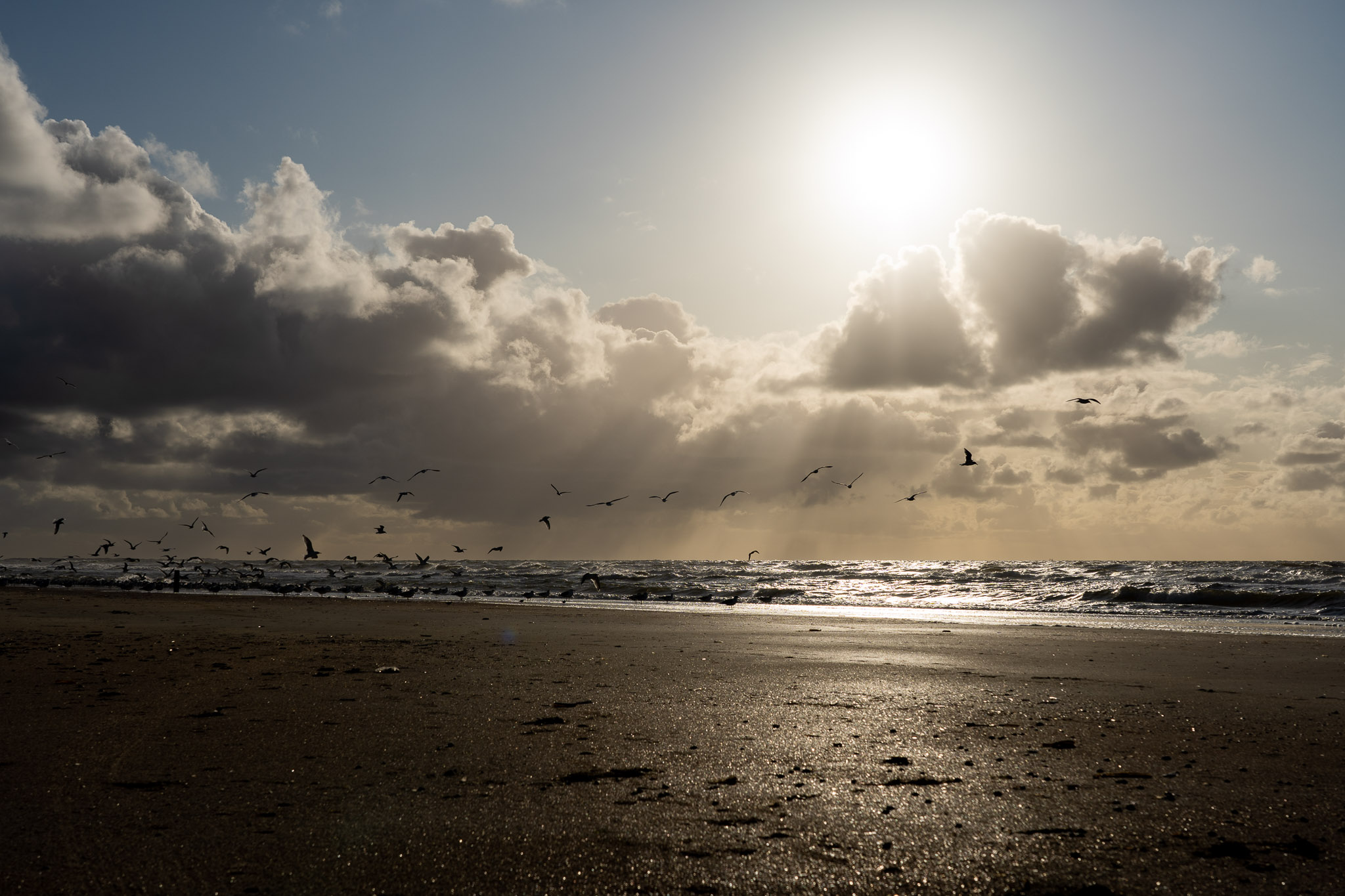 Eindrücke des Wattenmeers