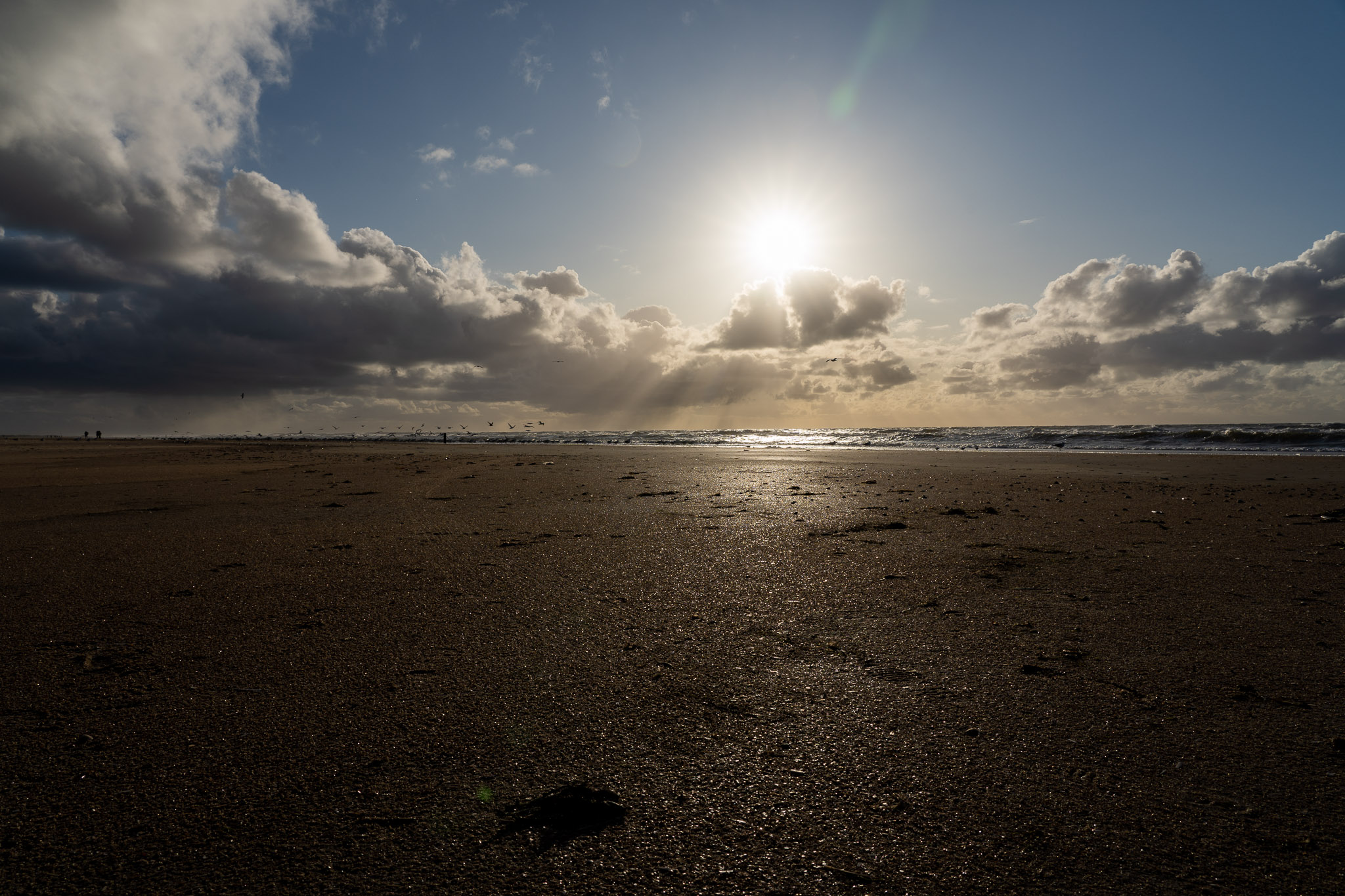 Eindrücke des Wattenmeers